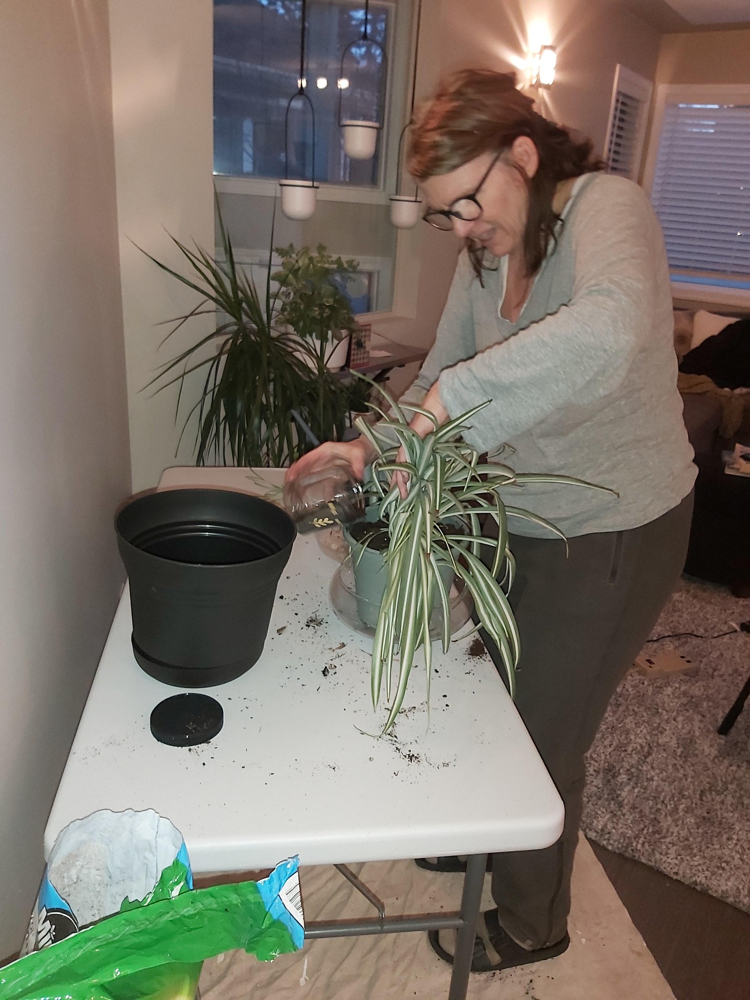My new plant space - UPDATE :-) - image 2 - student project