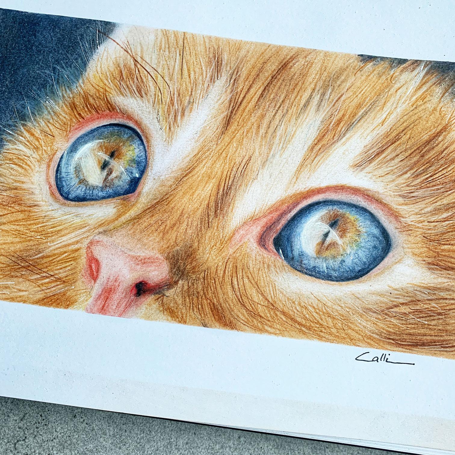 My cat ... - image 1 - student project