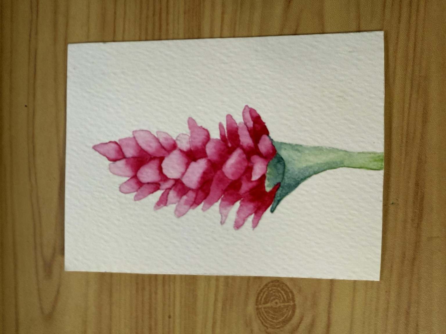 Tropical watercolours - image 3 - student project