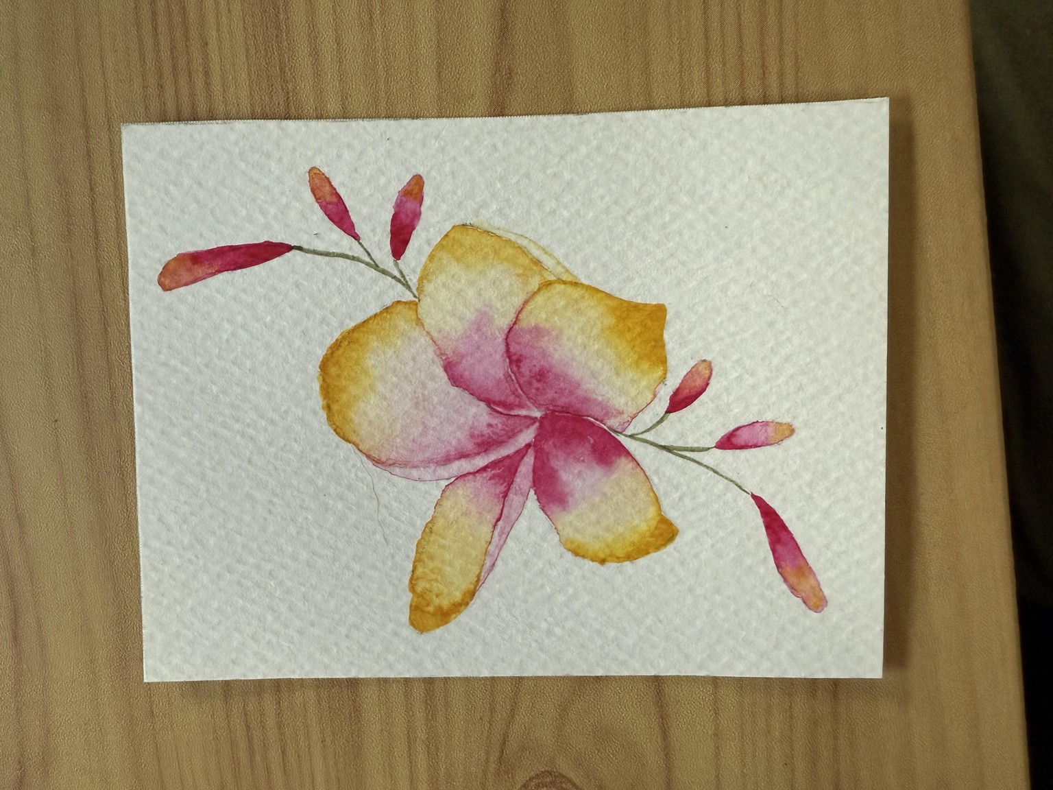 Tropical watercolours - image 2 - student project