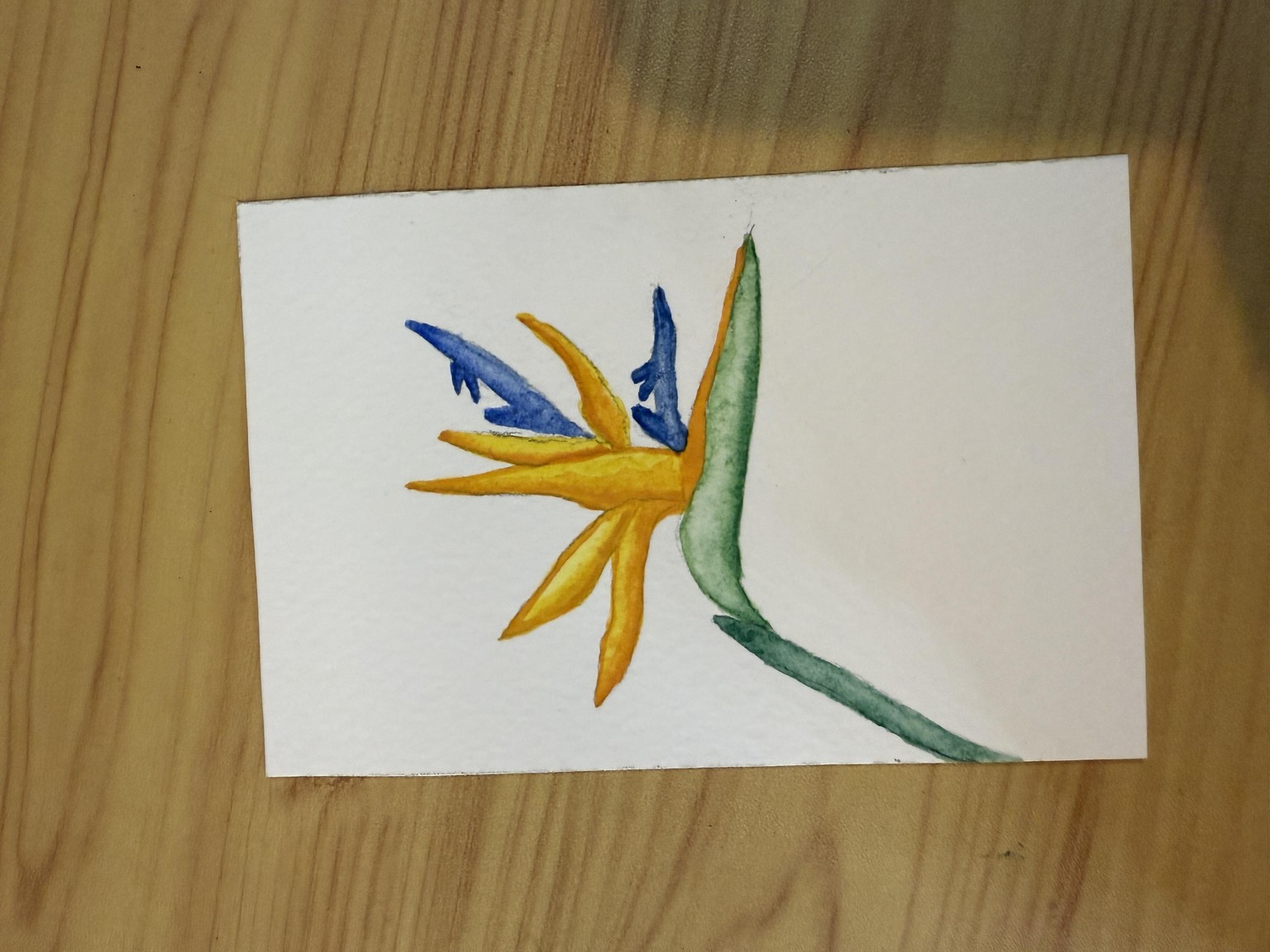 Tropical watercolours - image 1 - student project