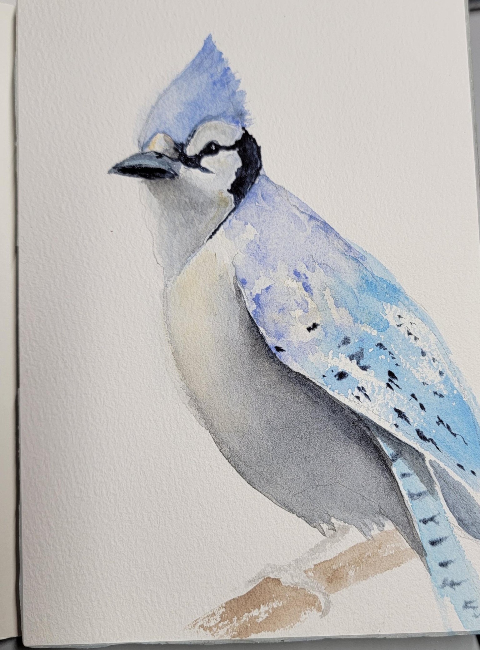 Another terrific class by Nadine - image 1 - student project
