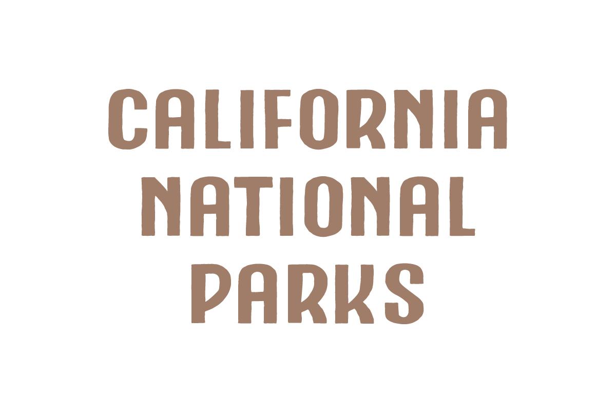 The Redwood Font - image 4 - student project