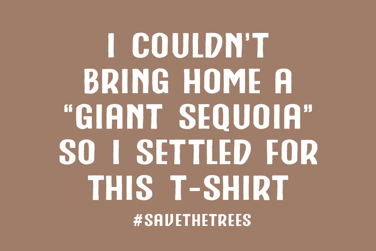 The Redwood Font - image 5 - student project