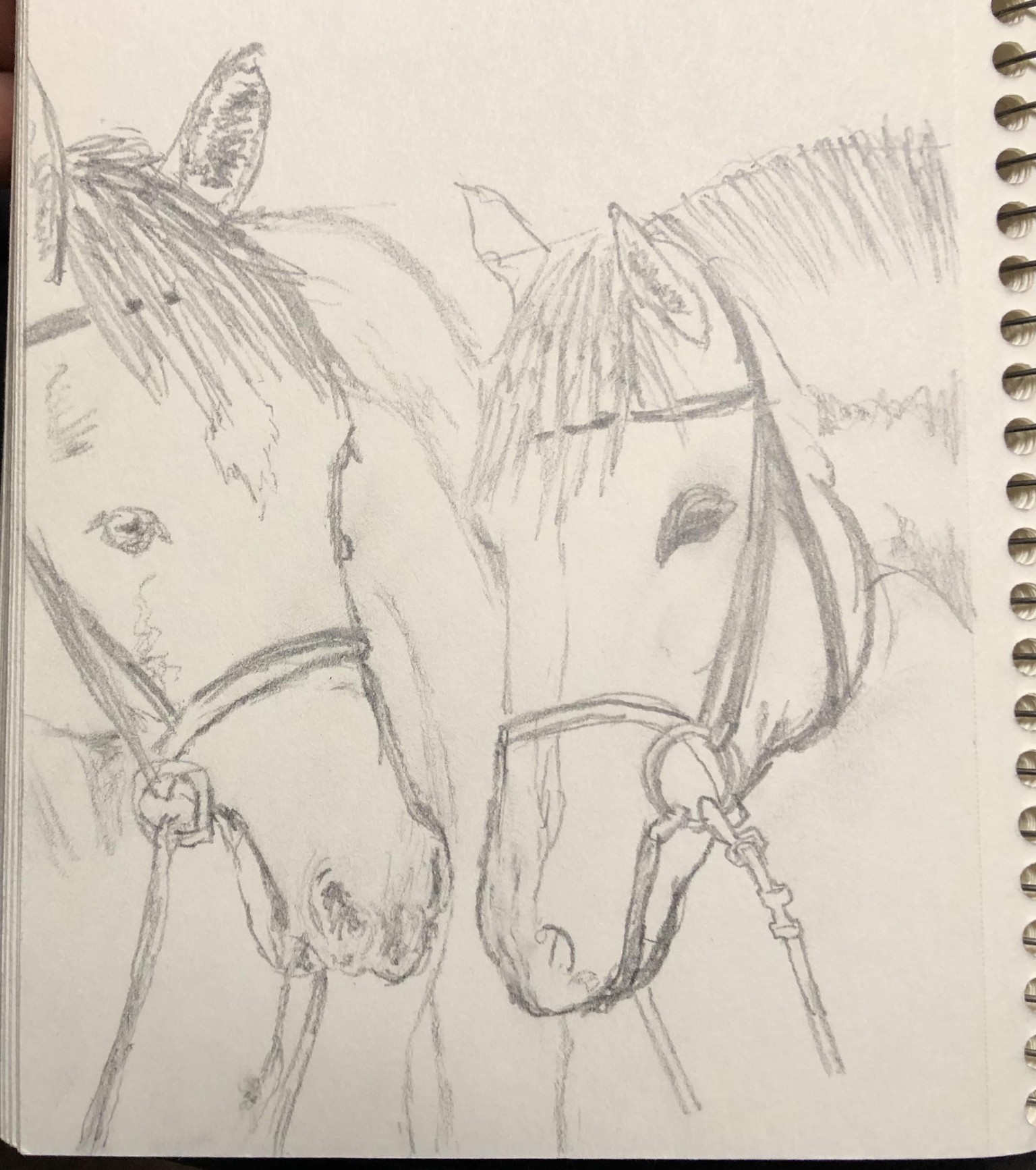 Exercise 1 and 2 - image 2 - student project