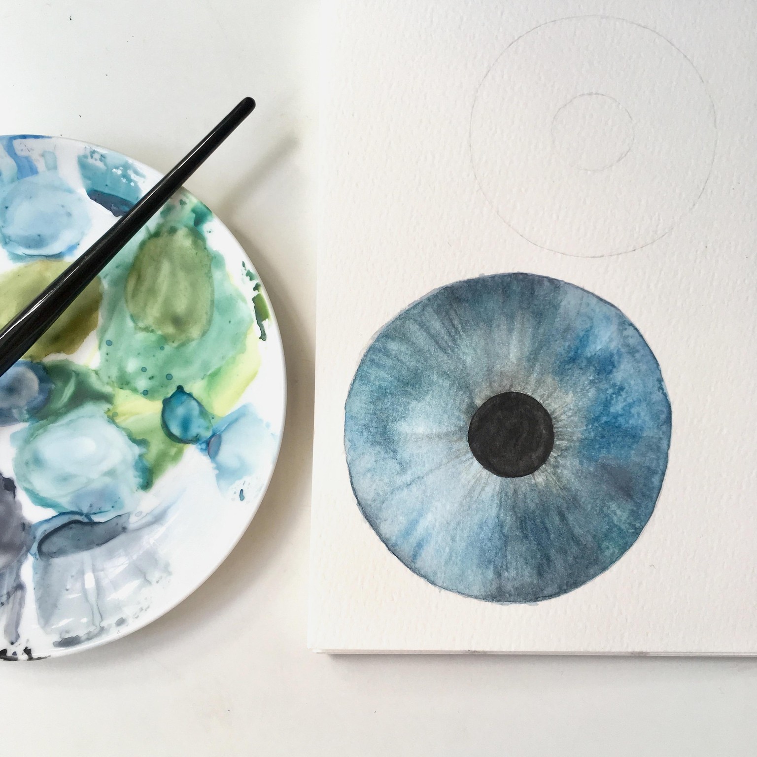 Sky blue iris - image 2 - student project