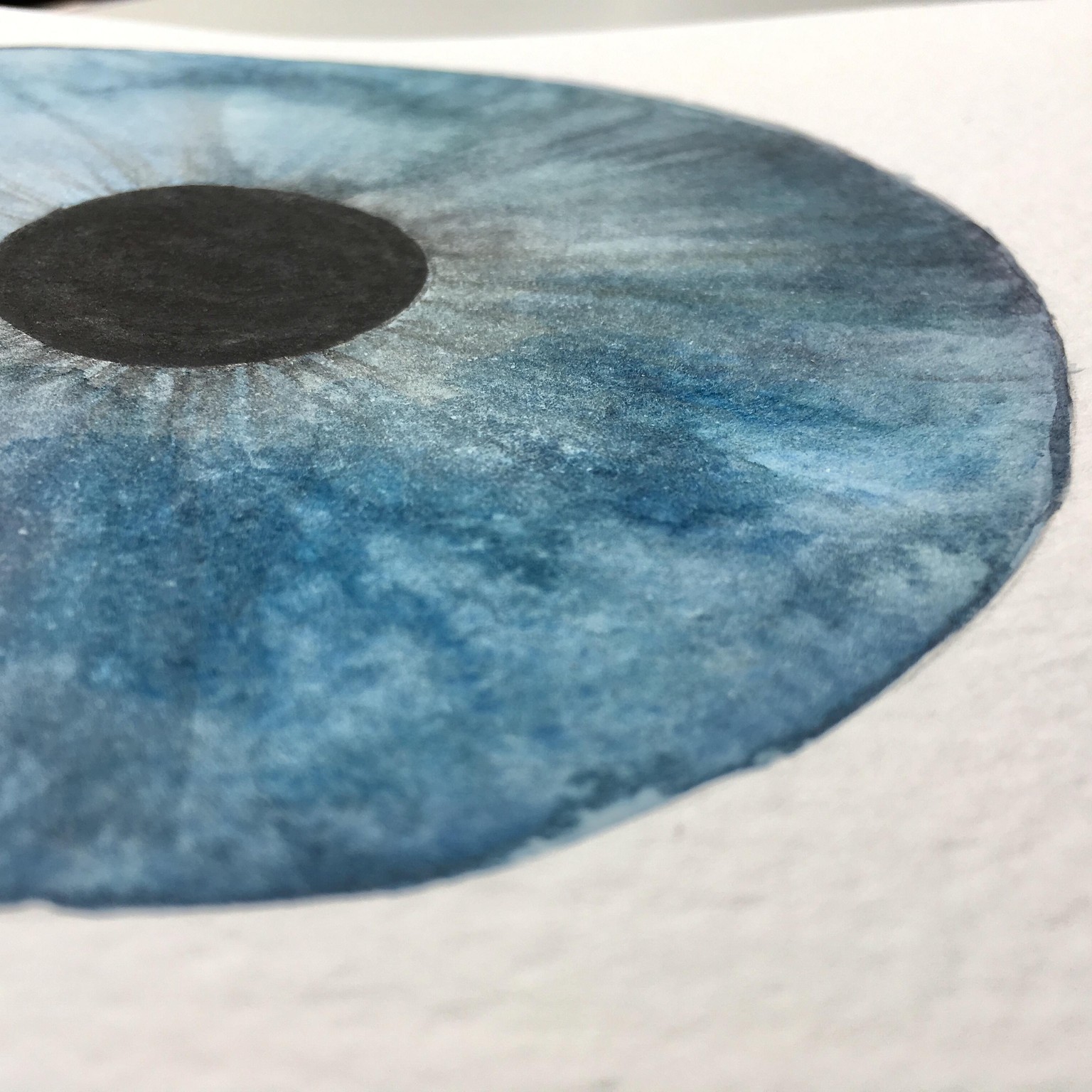 Sky blue iris - image 3 - student project