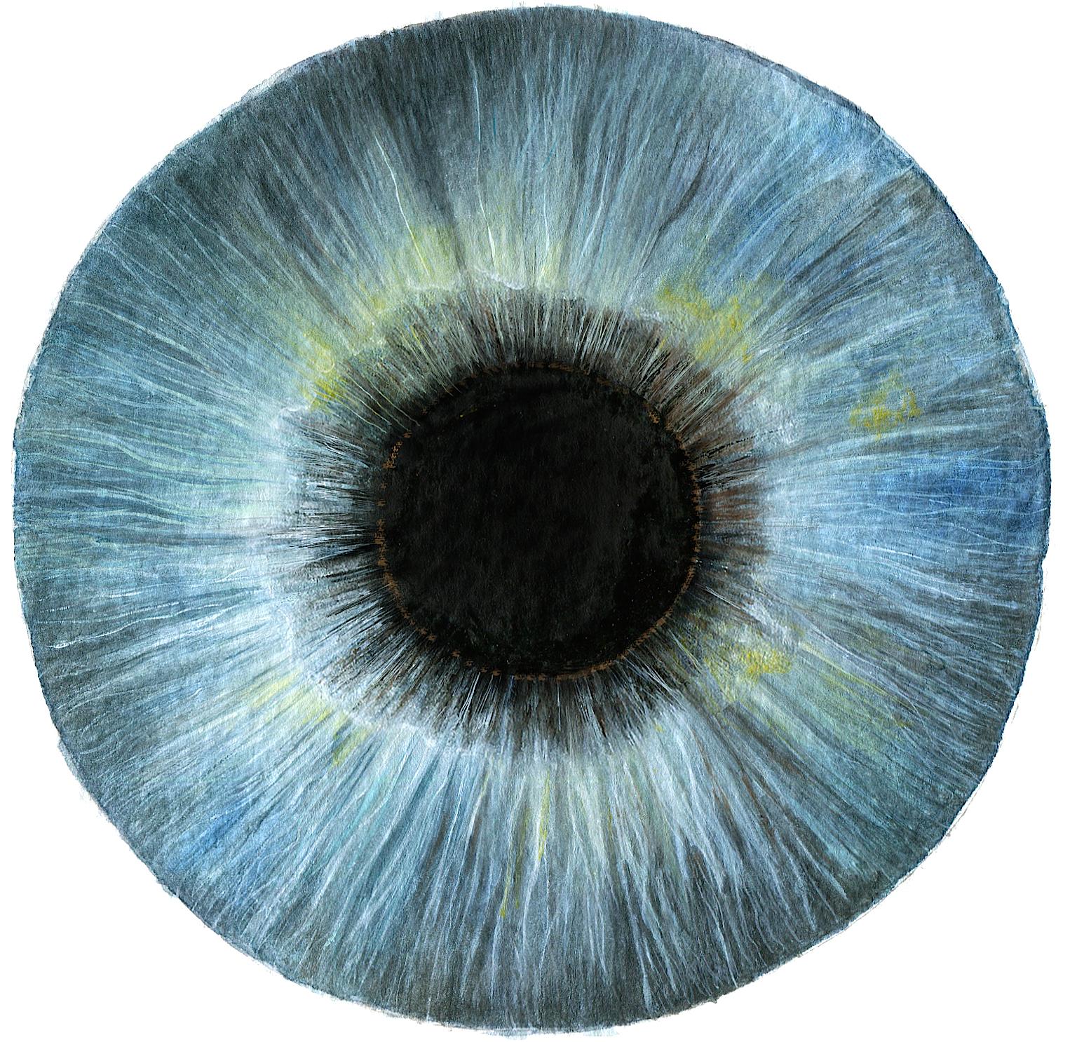 Sky blue iris - image 1 - student project