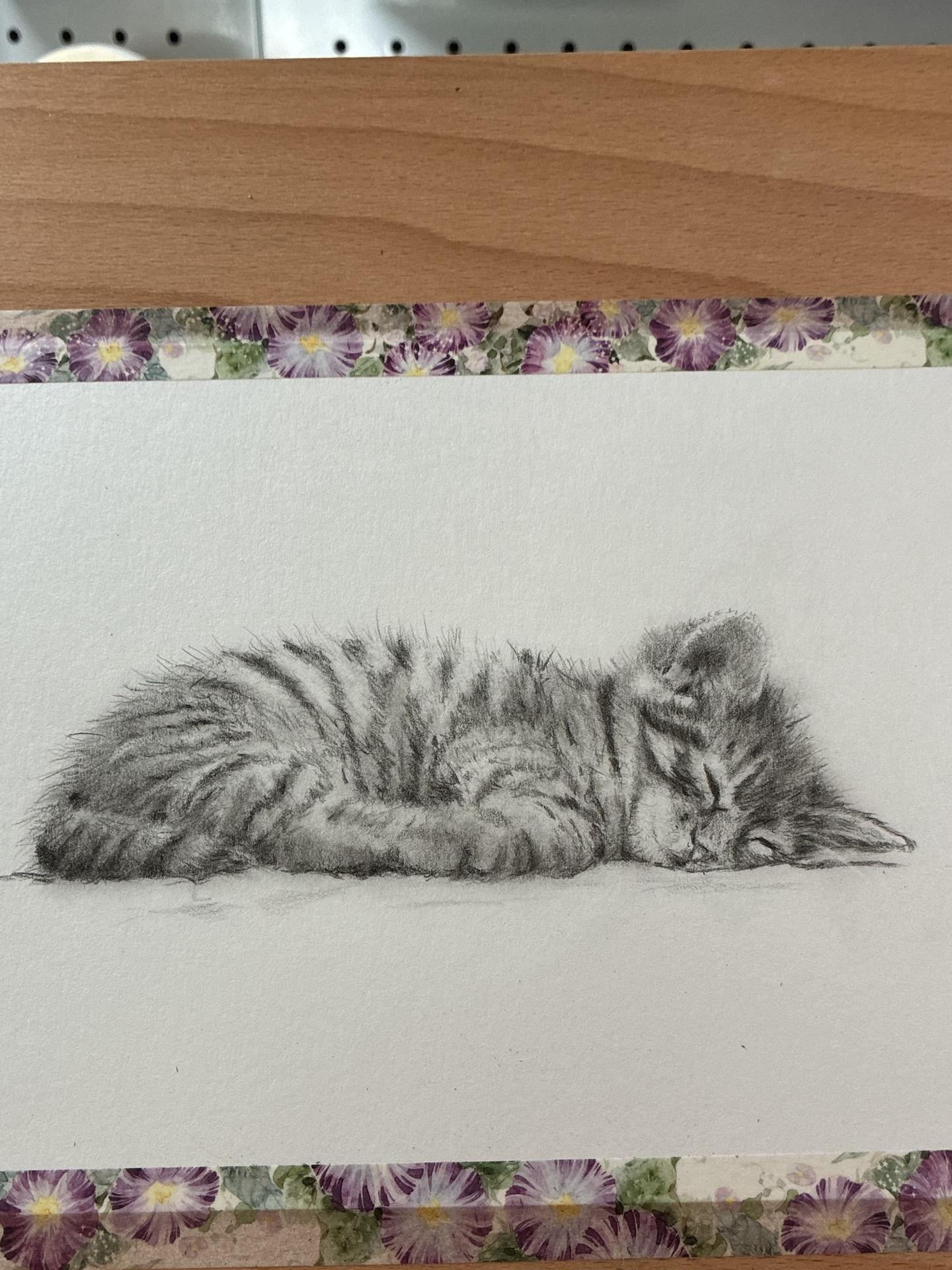 Sleeping kitten in graphite - image 1 - student project