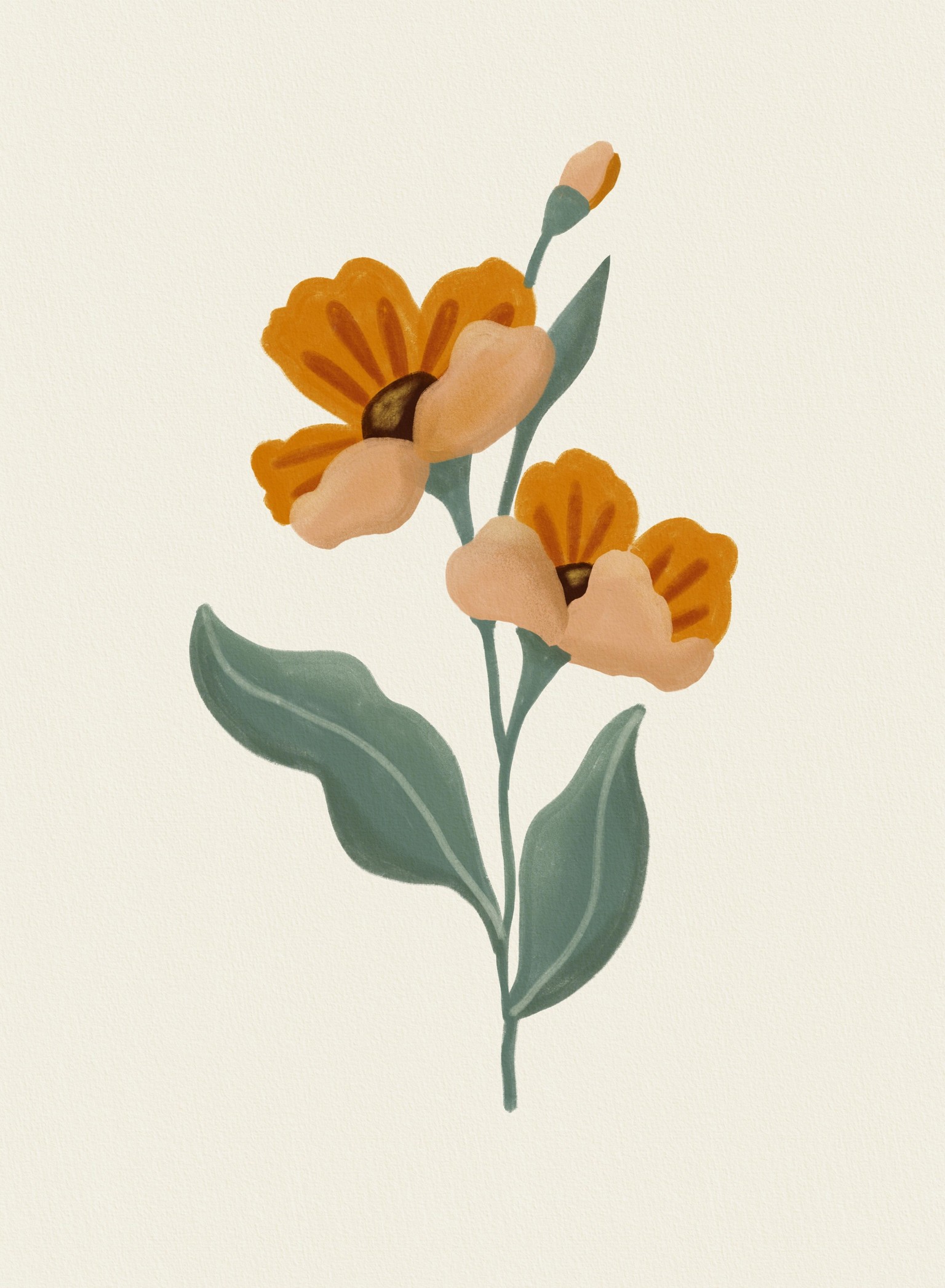 Poppy Flowers - image 1 - student project