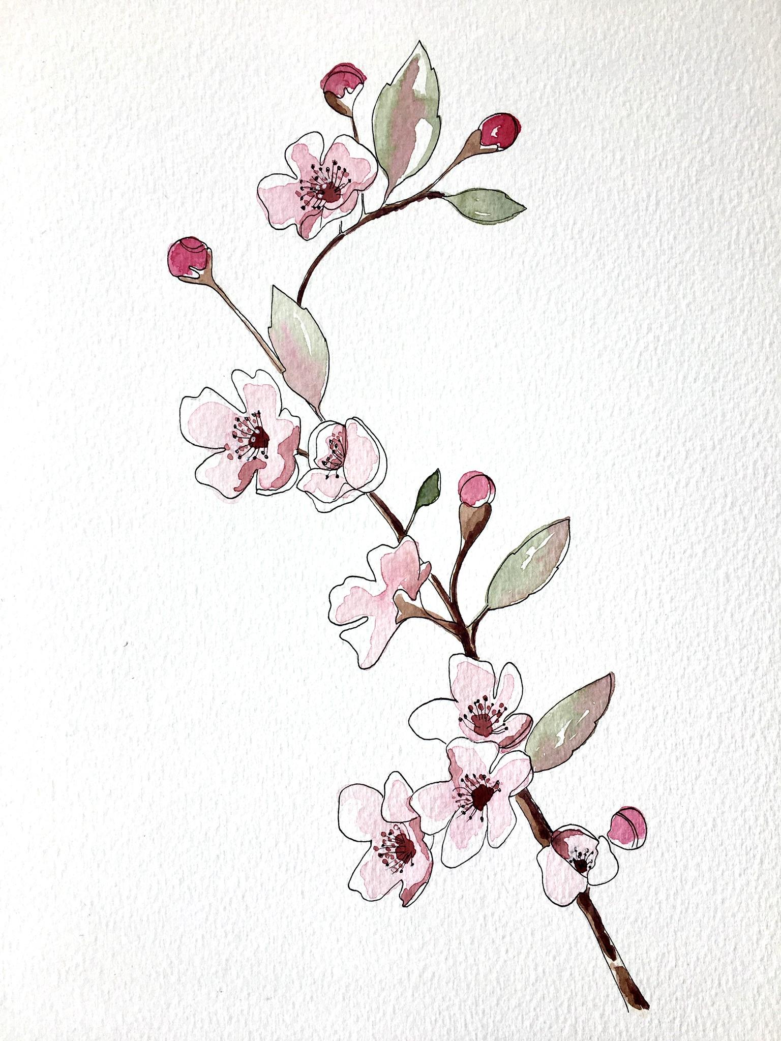 Blossom - image 2 - student project