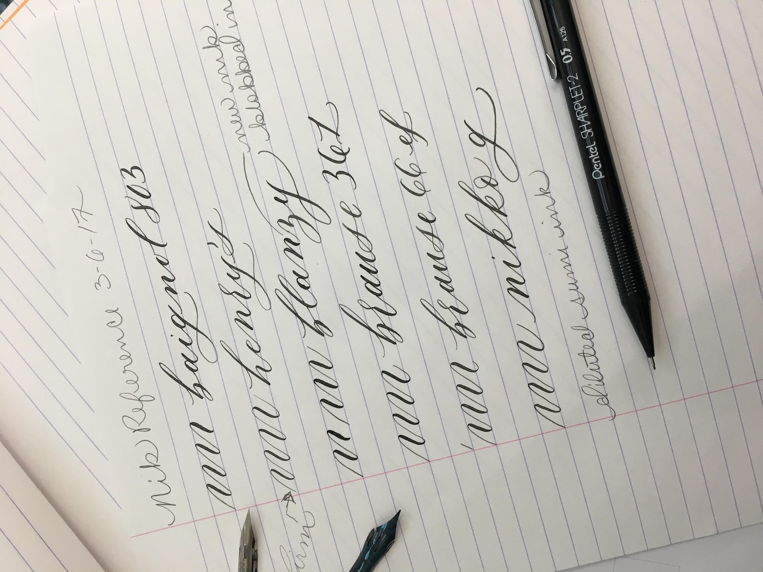 Calligraphy Nib Reference  - image 1 - student project
