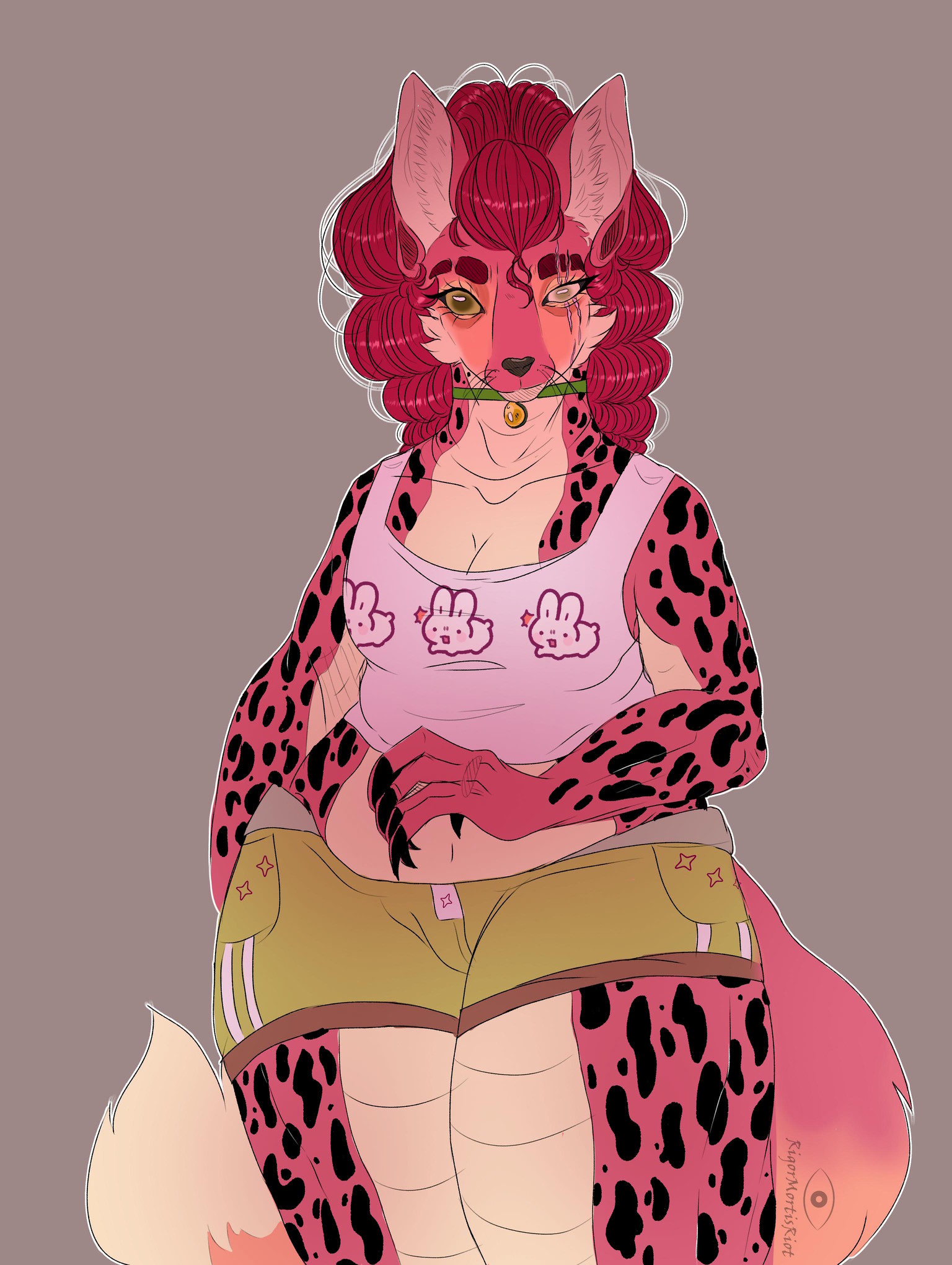 Fennec Gecko Gal - image 1 - student project
