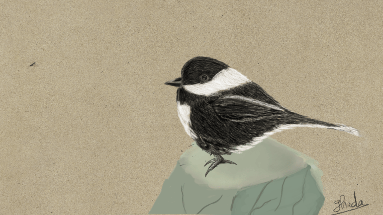 Chickadee - image 1 - student project