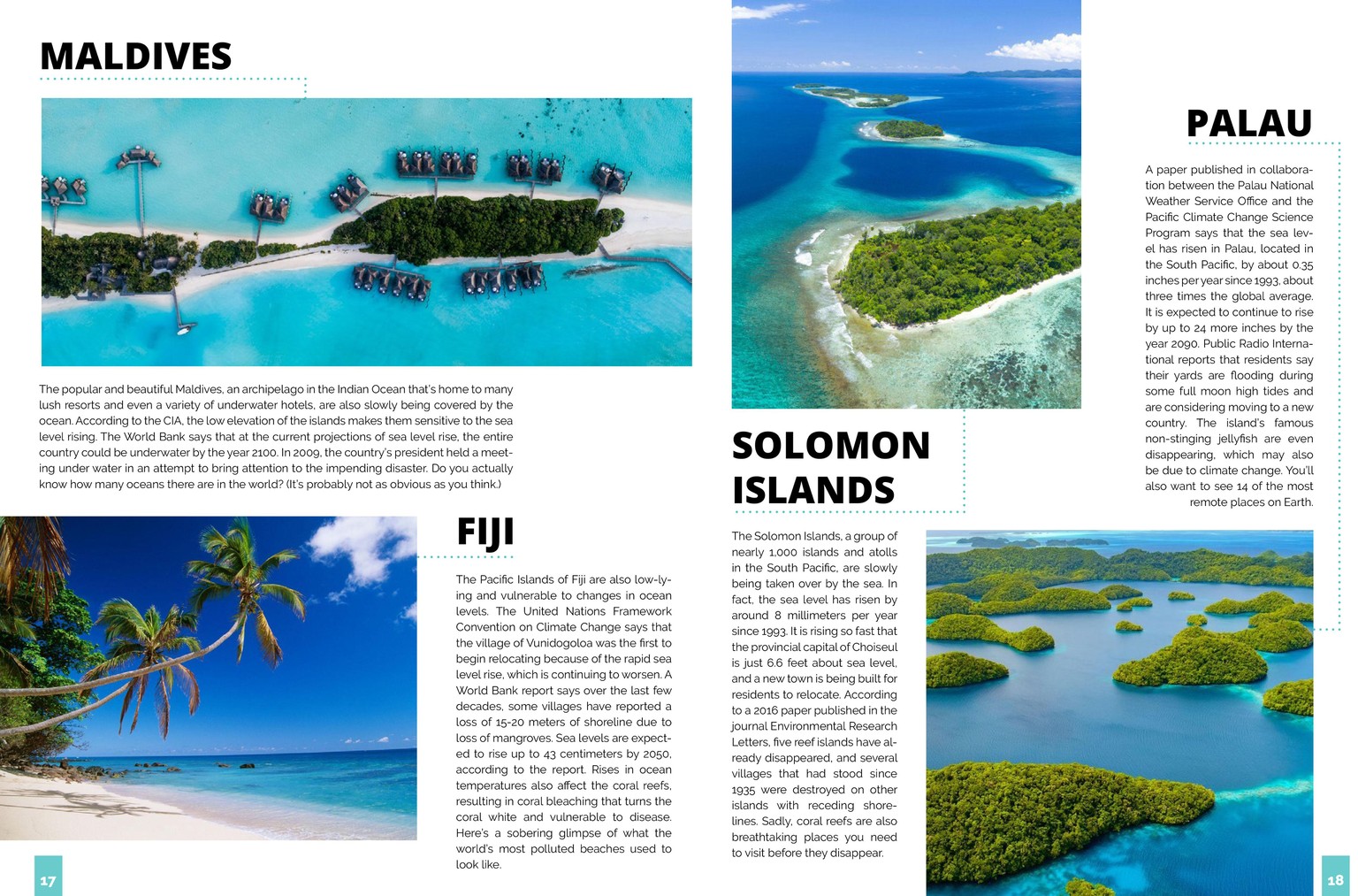 Sustainability Now! Magazine - image 10 - student project
