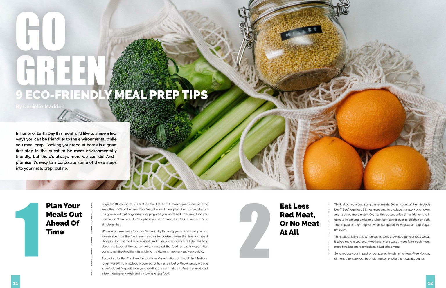 Sustainability Now! Magazine - image 7 - student project