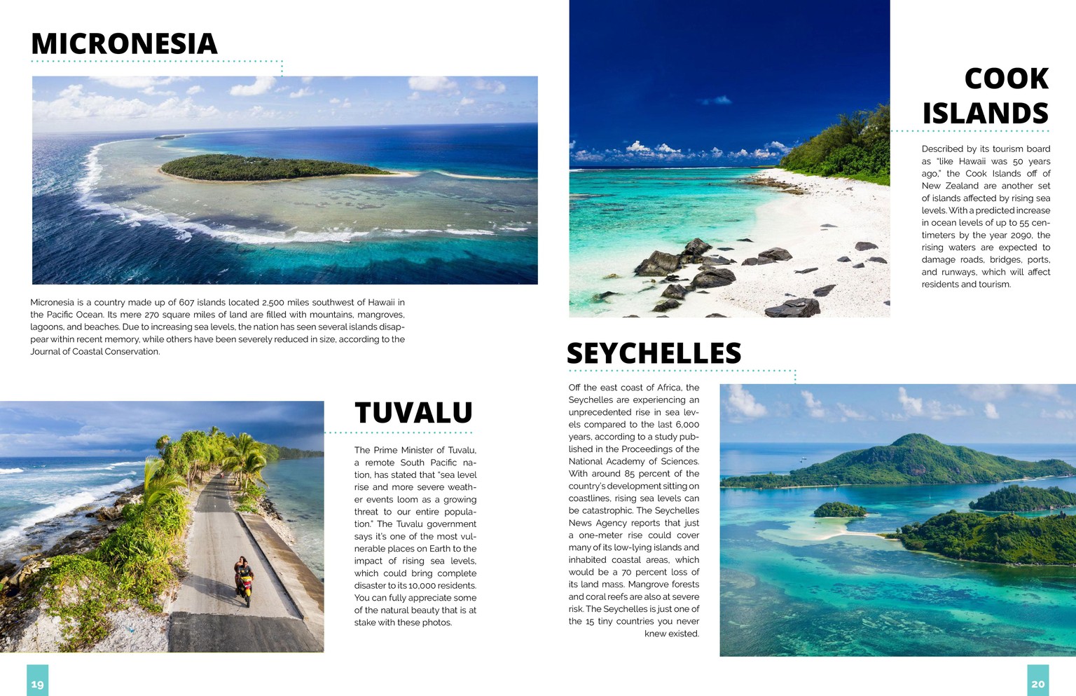 Sustainability Now! Magazine - image 11 - student project