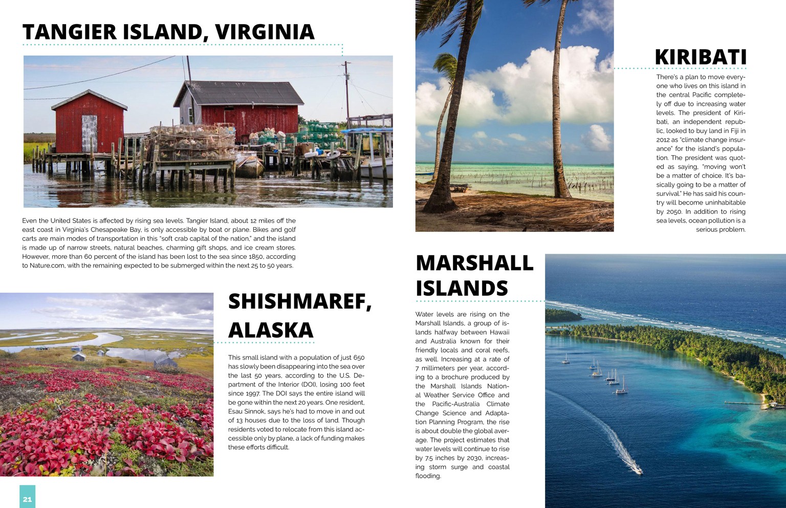Sustainability Now! Magazine - image 12 - student project