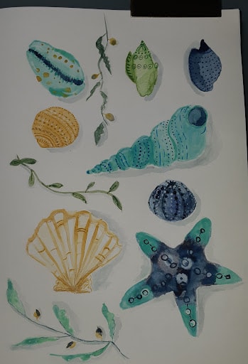 Seashells - image 1 - student project