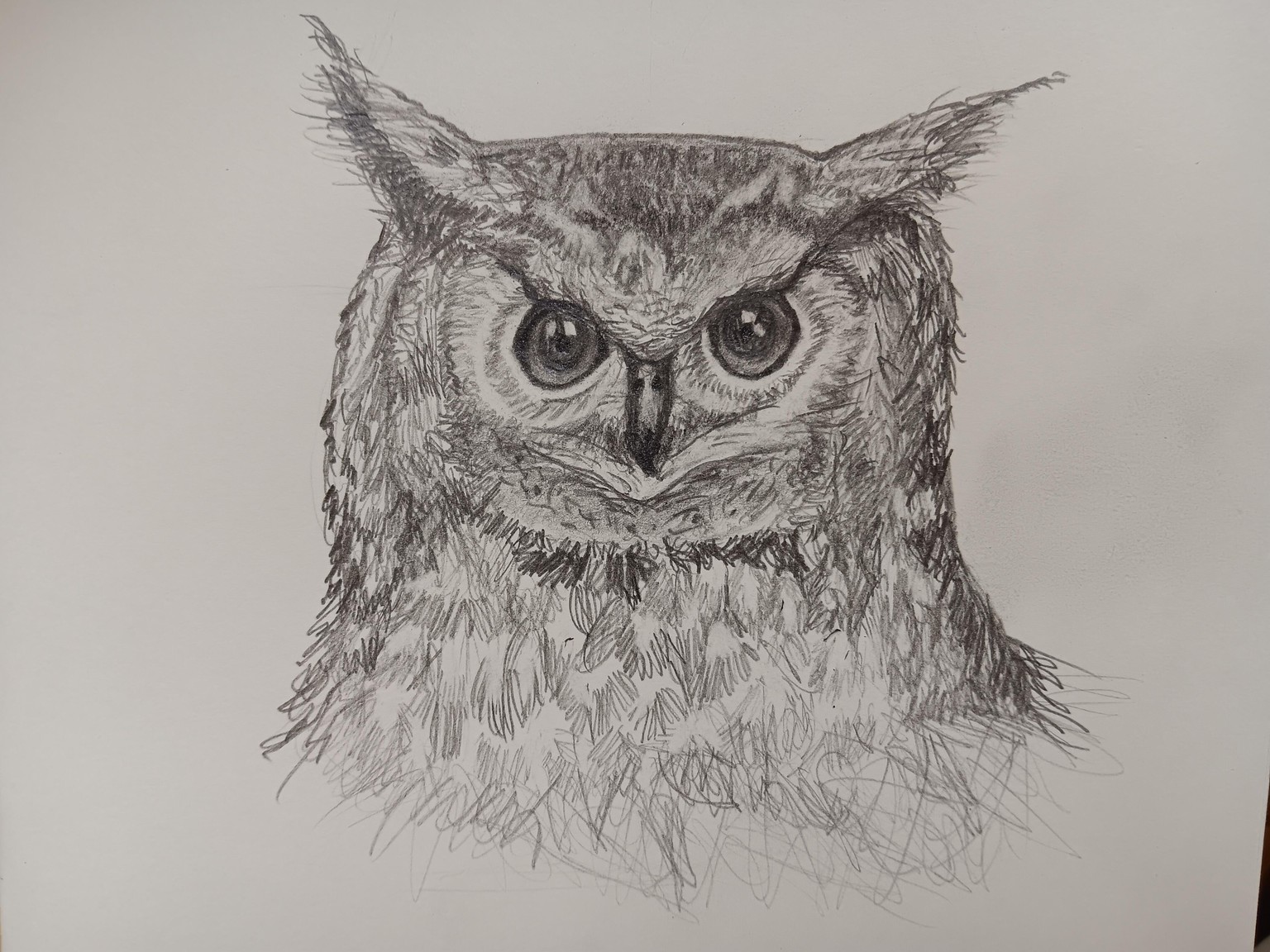 Owl in Pencil - image 1 - student project