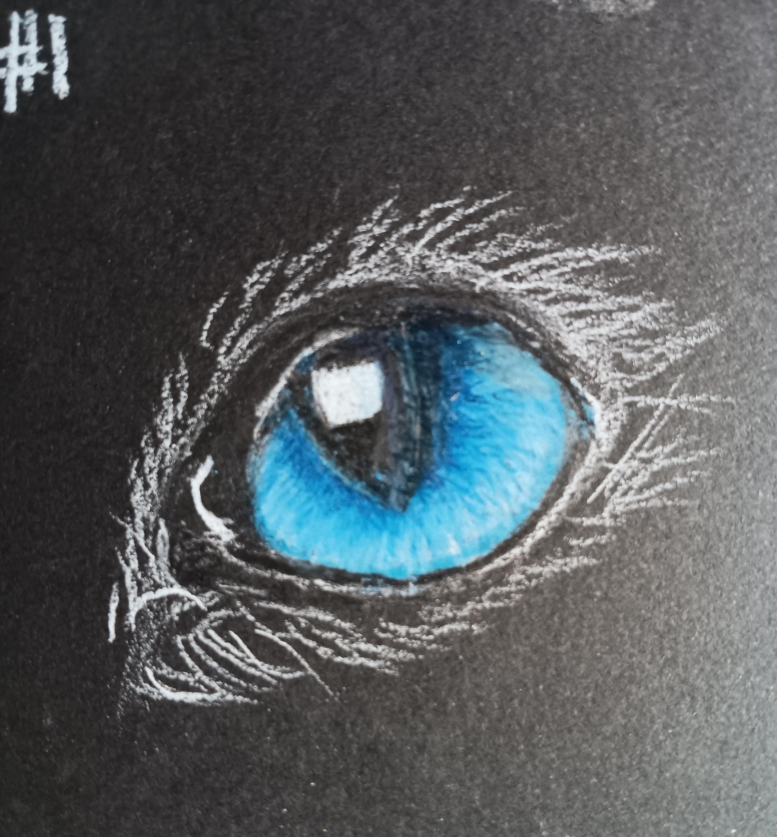Cat's Eye Final Pic - image 1 - student project