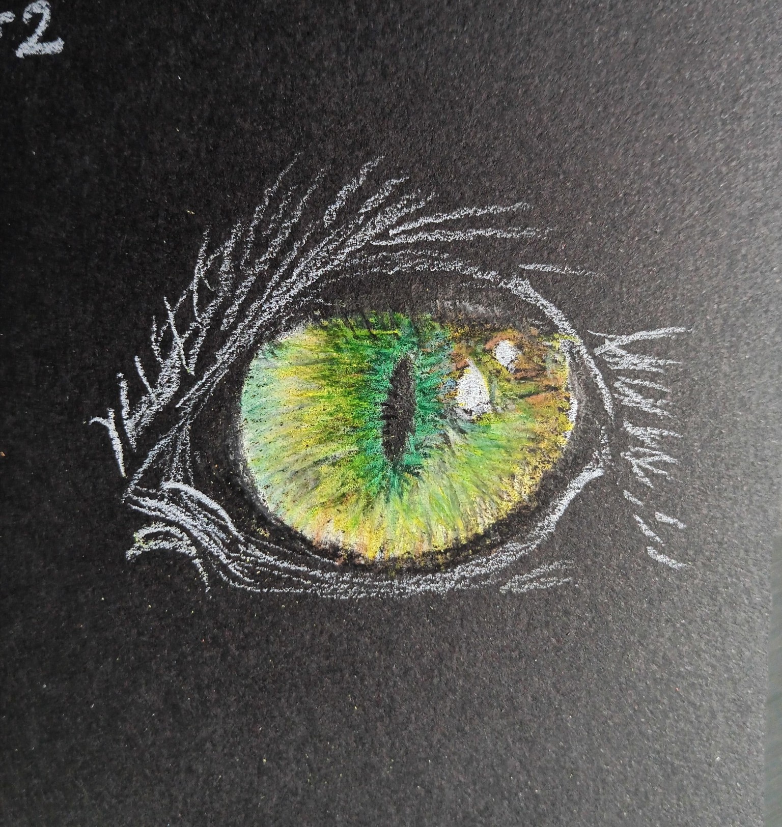 Cat's Eye Final Pic - image 2 - student project