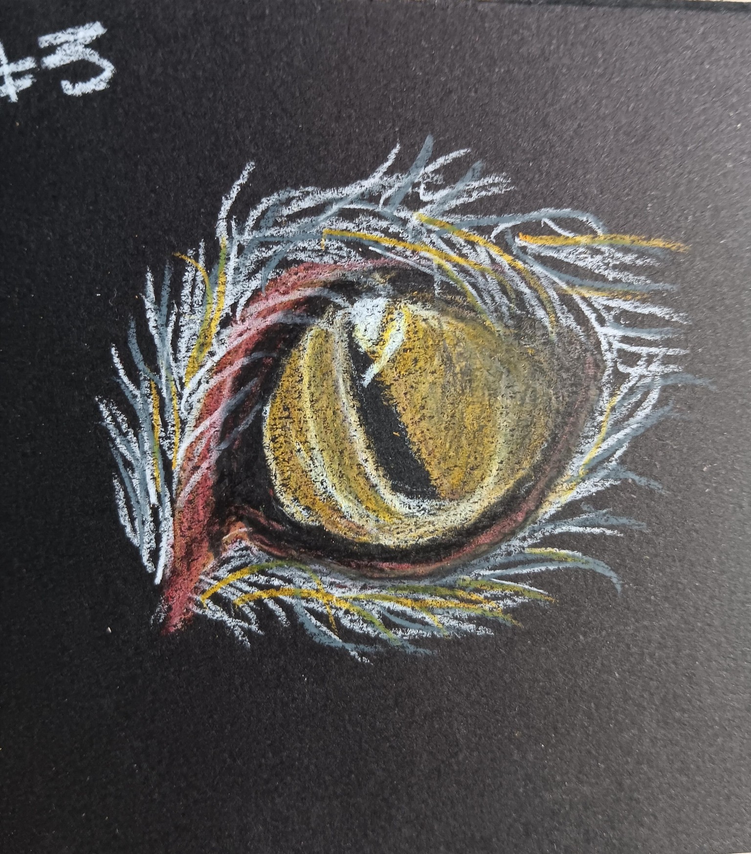 Cat's Eye Final Pic - image 3 - student project