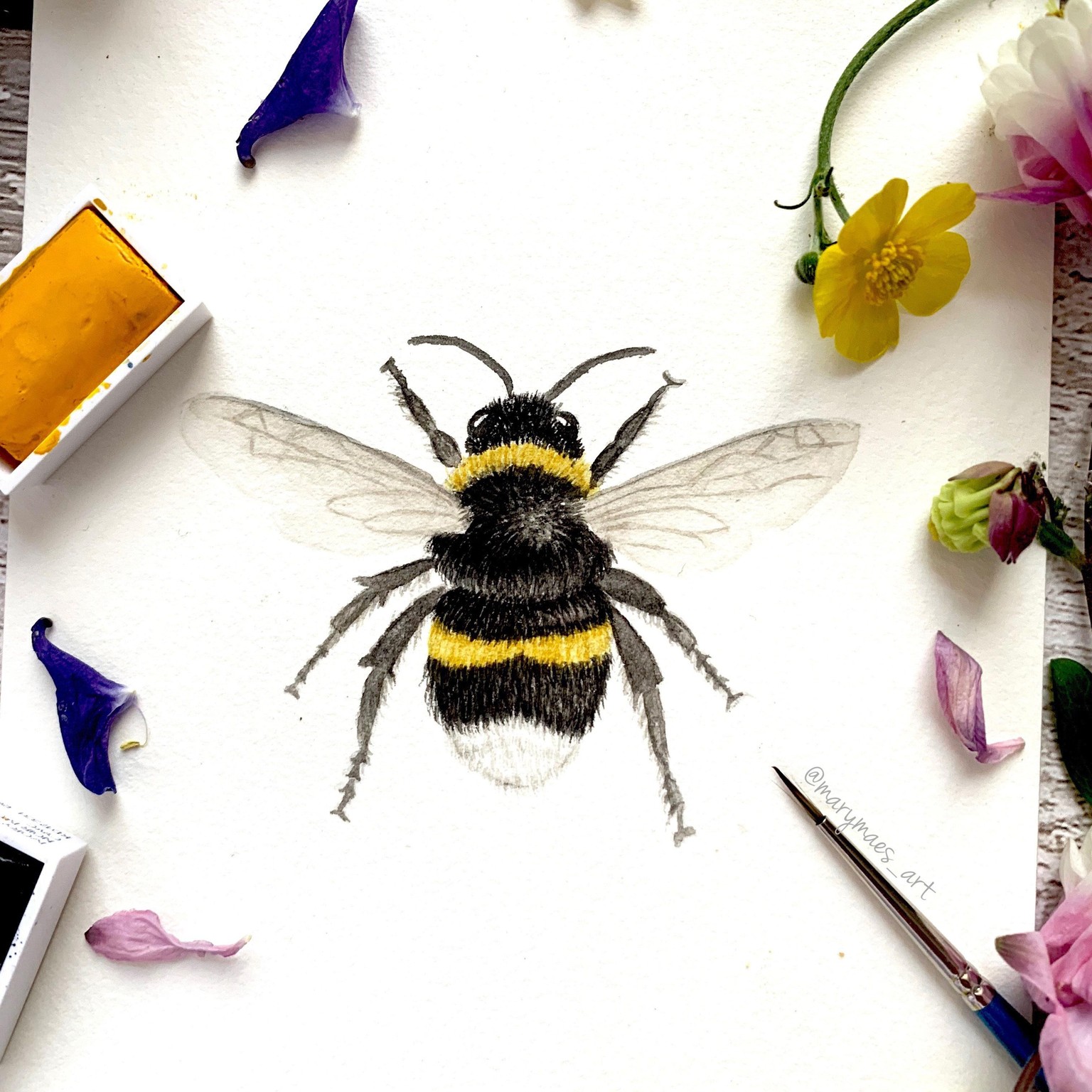Busy Bumblebee - image 2 - student project