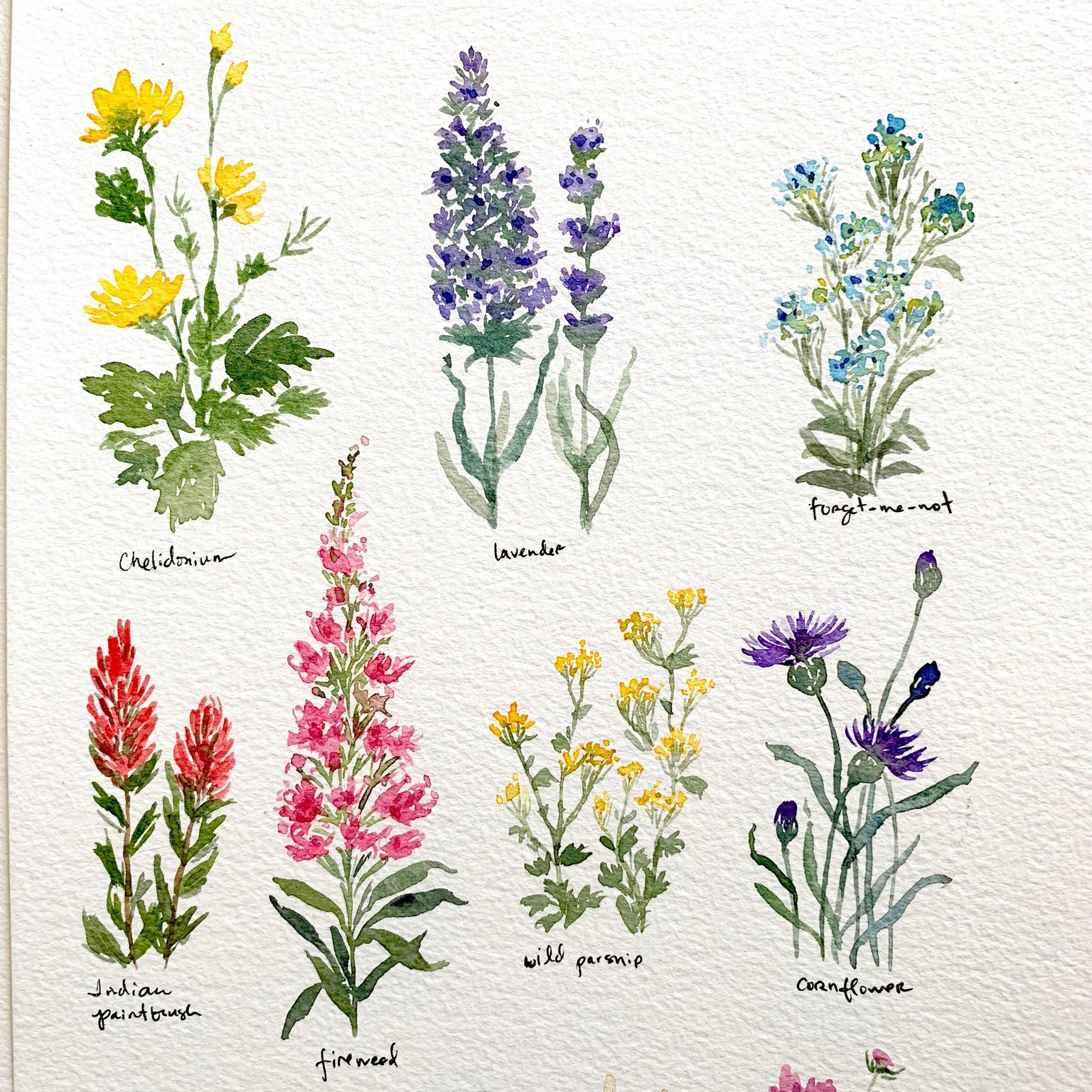 Pretty Little Wildflowers - image 2 - student project