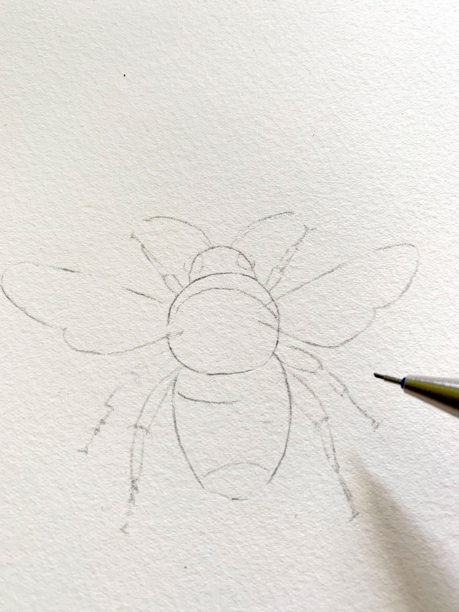 Busy Bumblebee - image 1 - student project