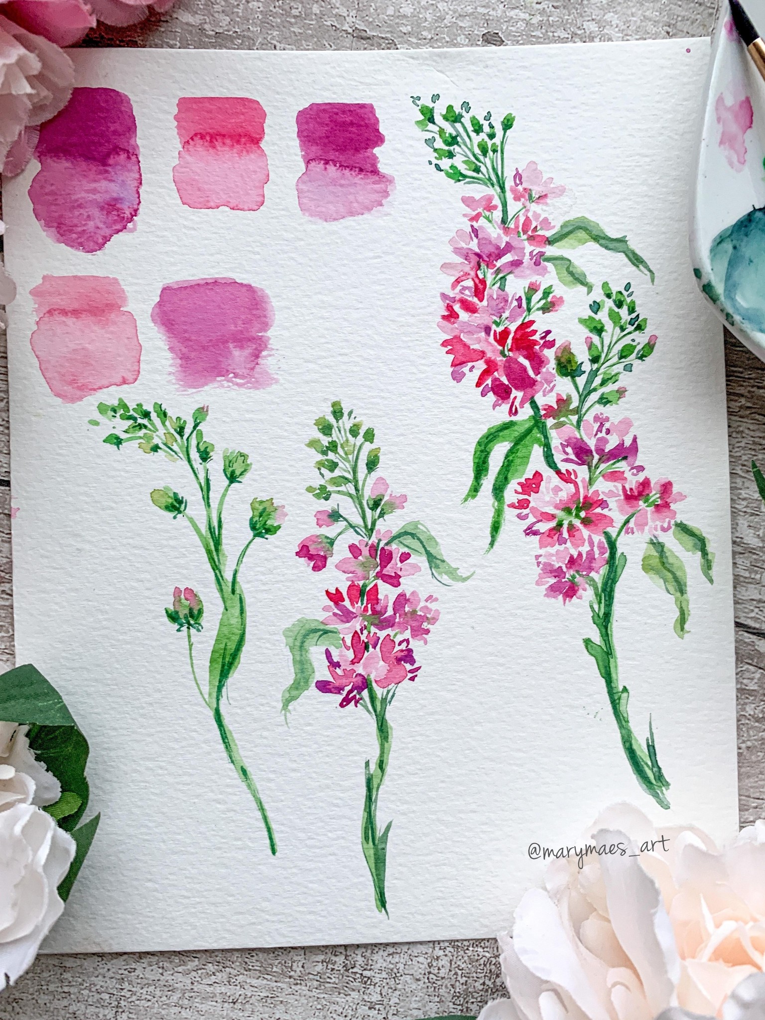 Pretty in Pink Watercolour Freesia - image 2 - student project