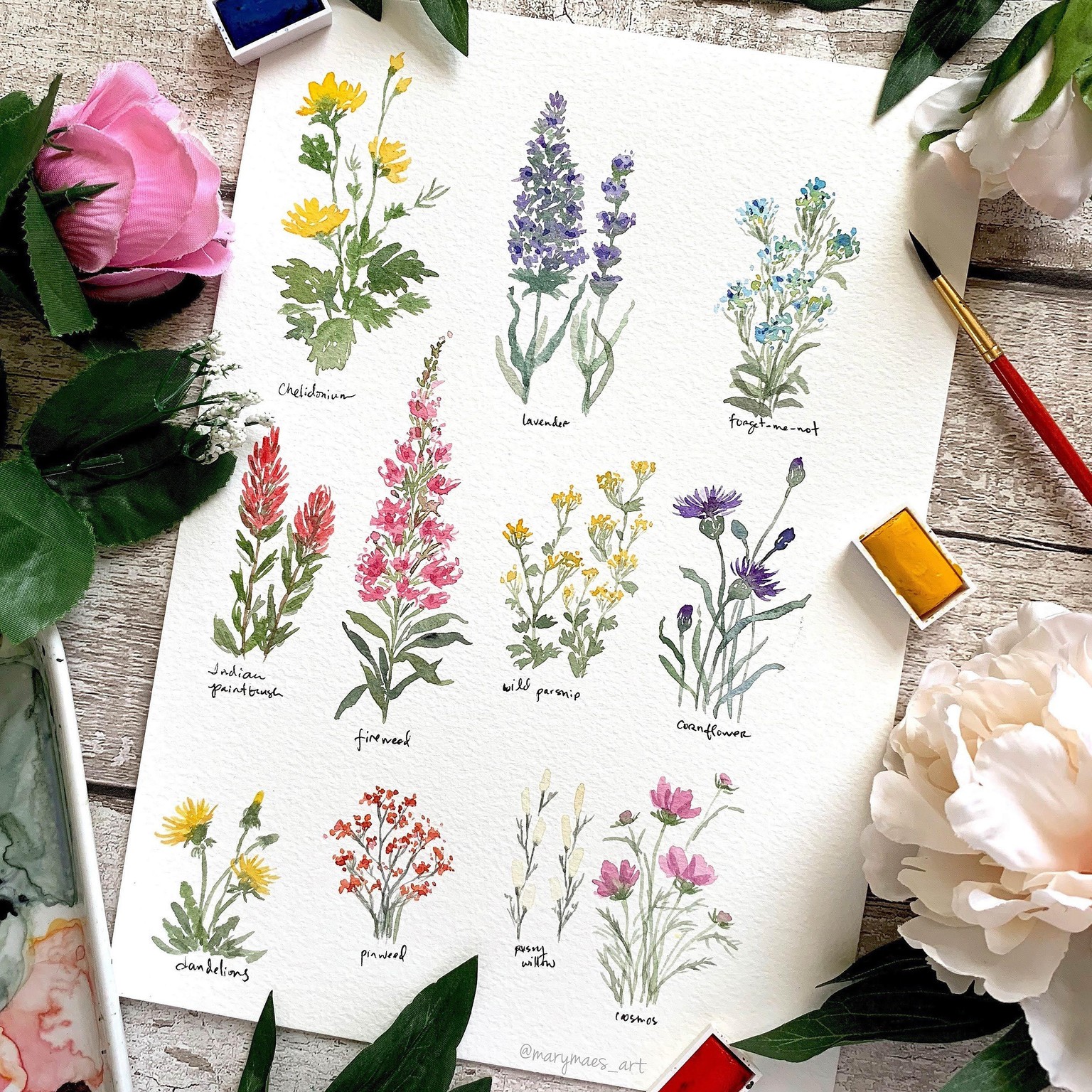 Pretty Little Wildflowers - image 1 - student project