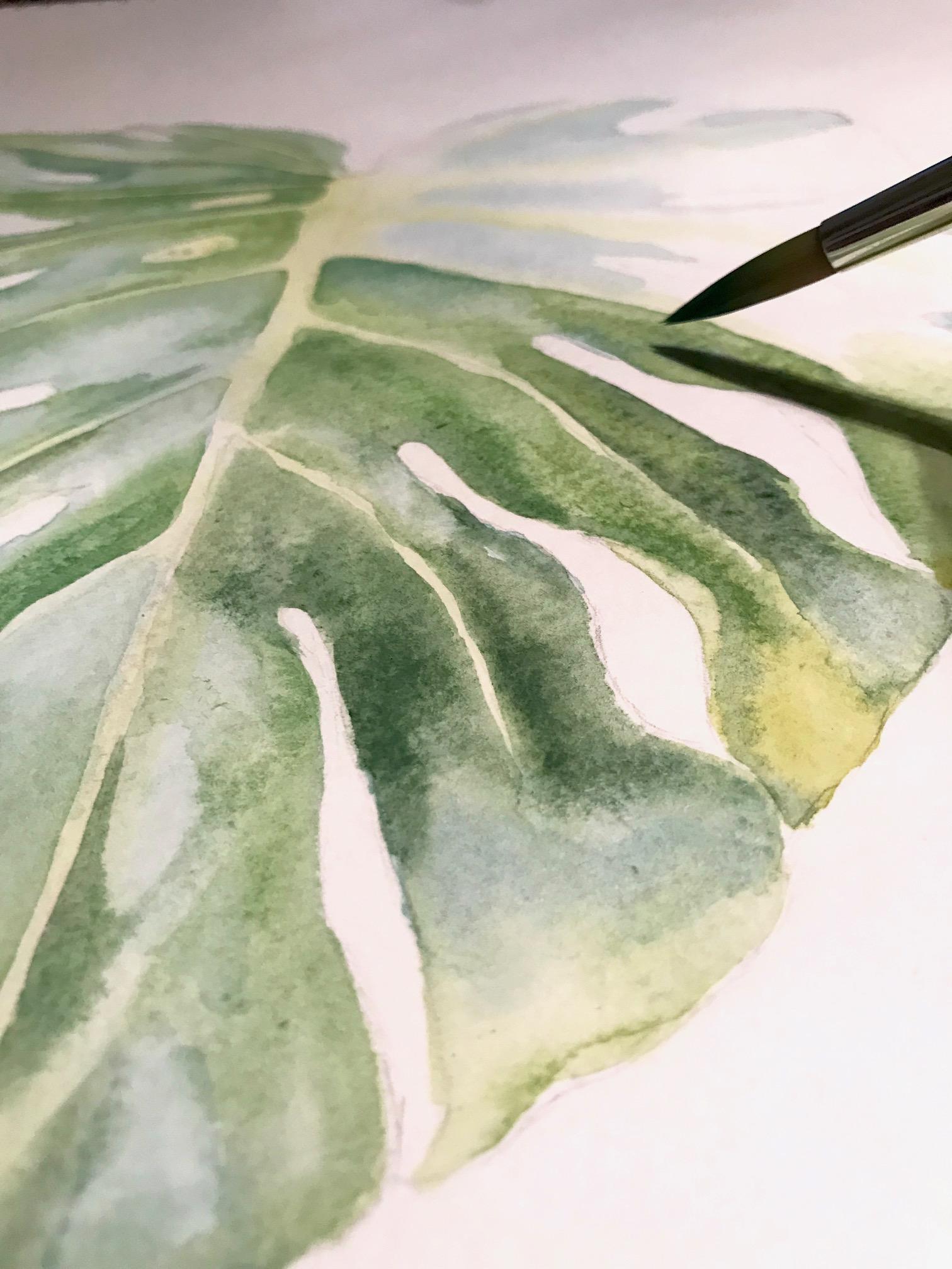 Monstera botanical Illustration - image 2 - student project