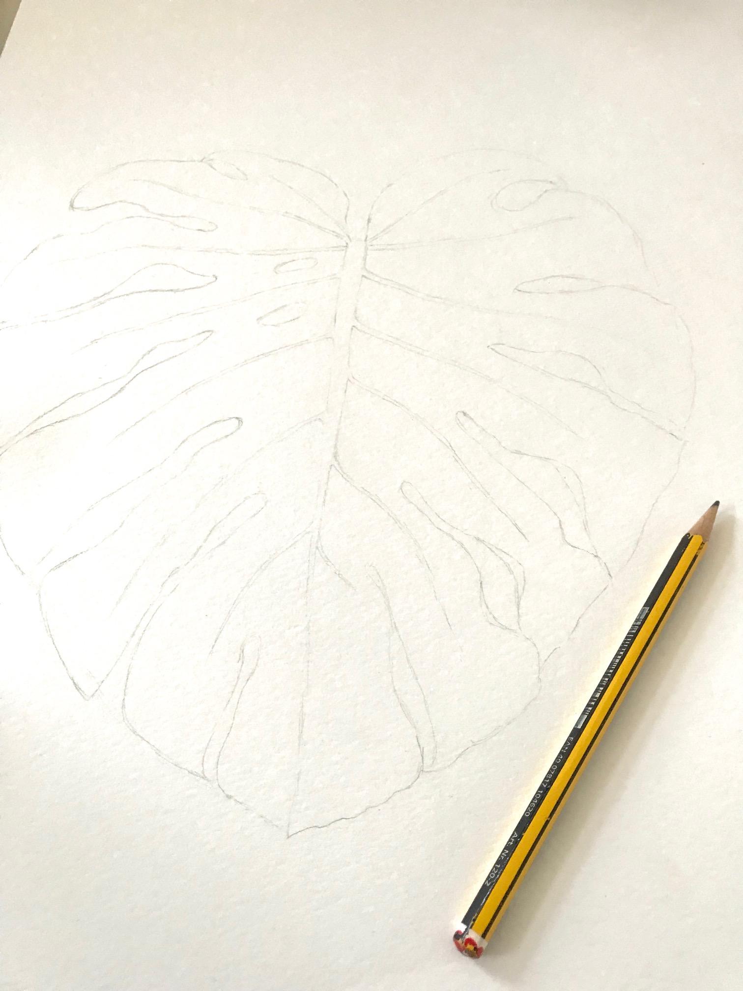 Monstera botanical Illustration - image 1 - student project