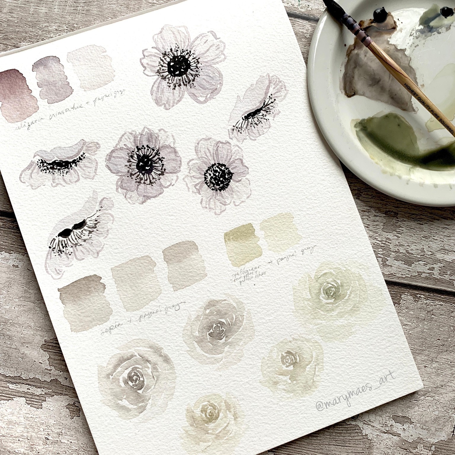 Pretty White Watercolour Florals - image 3 - student project