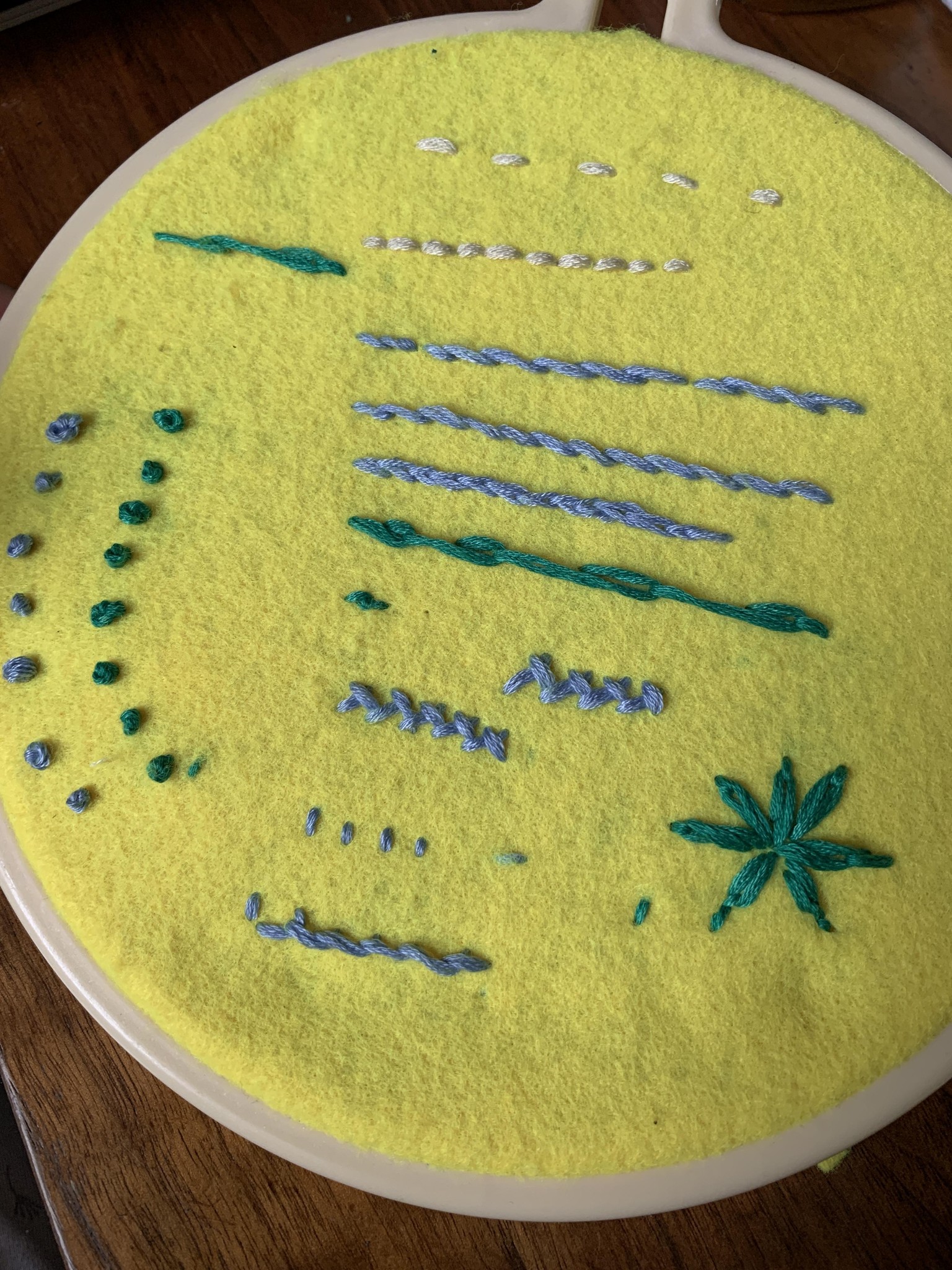 Daughter and Son learns Basic Stitches! - image 2 - student project