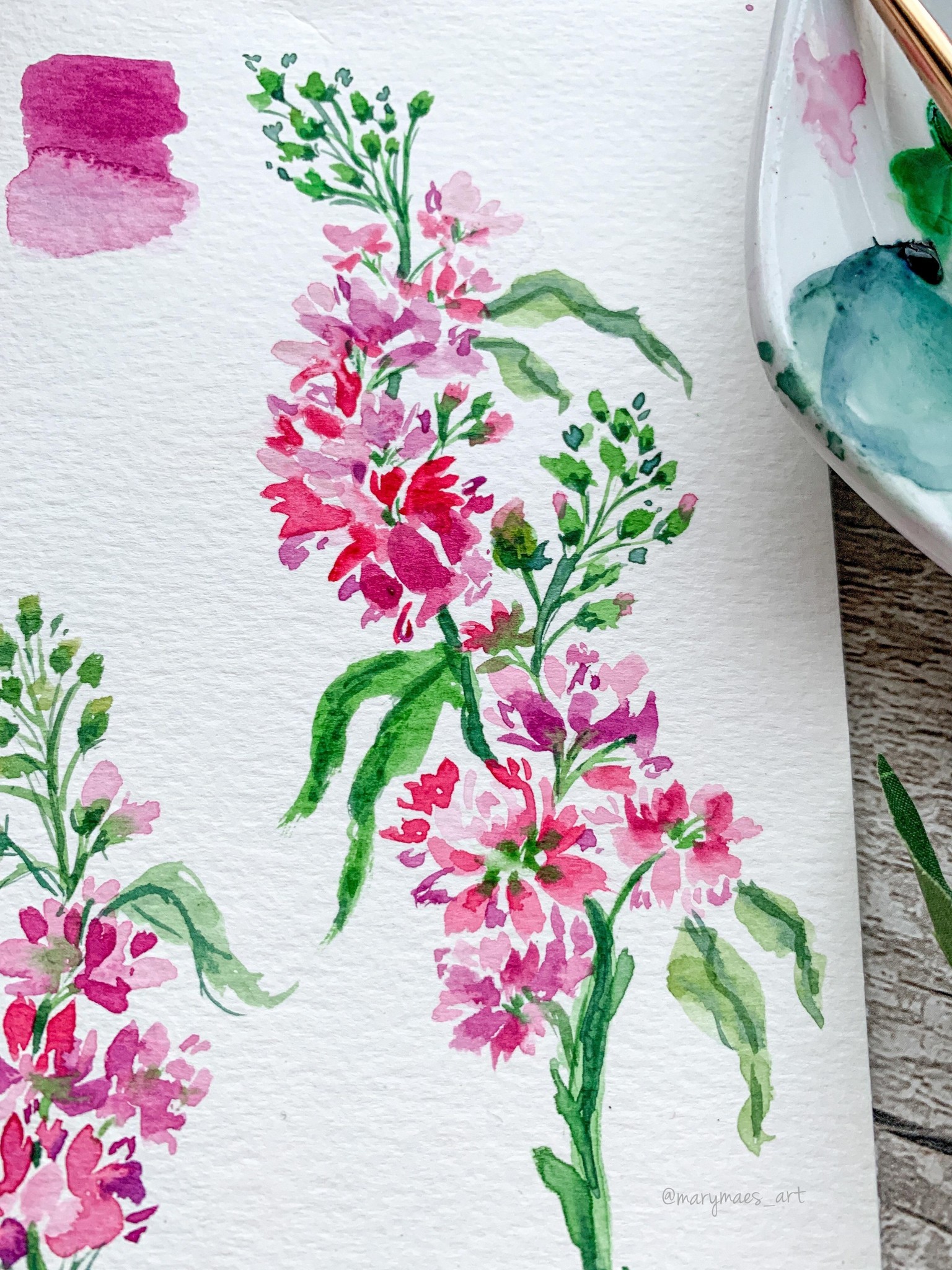 Pretty in Pink Watercolour Freesia - image 1 - student project