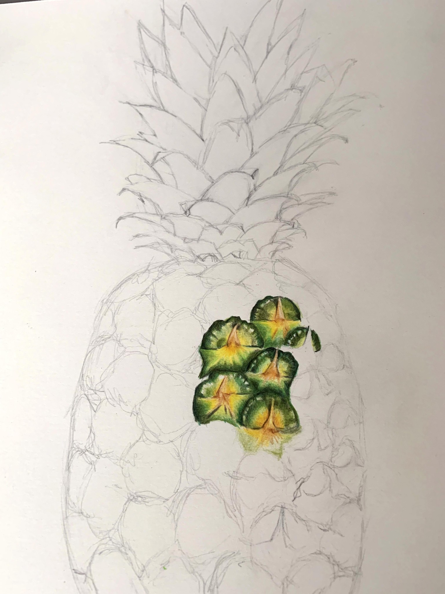 Strawberry - image 1 - student project