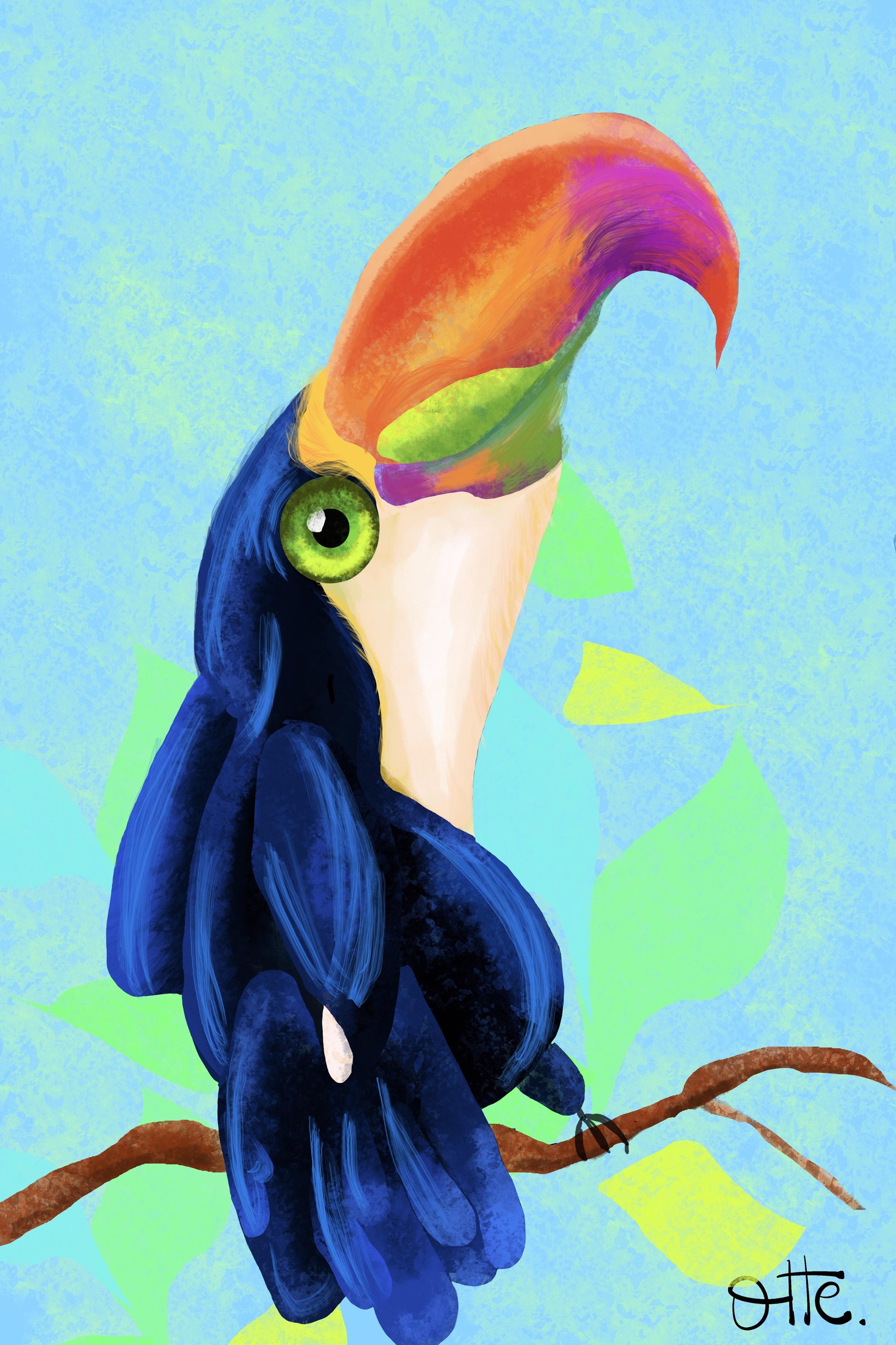Kaketoe - image 1 - student project