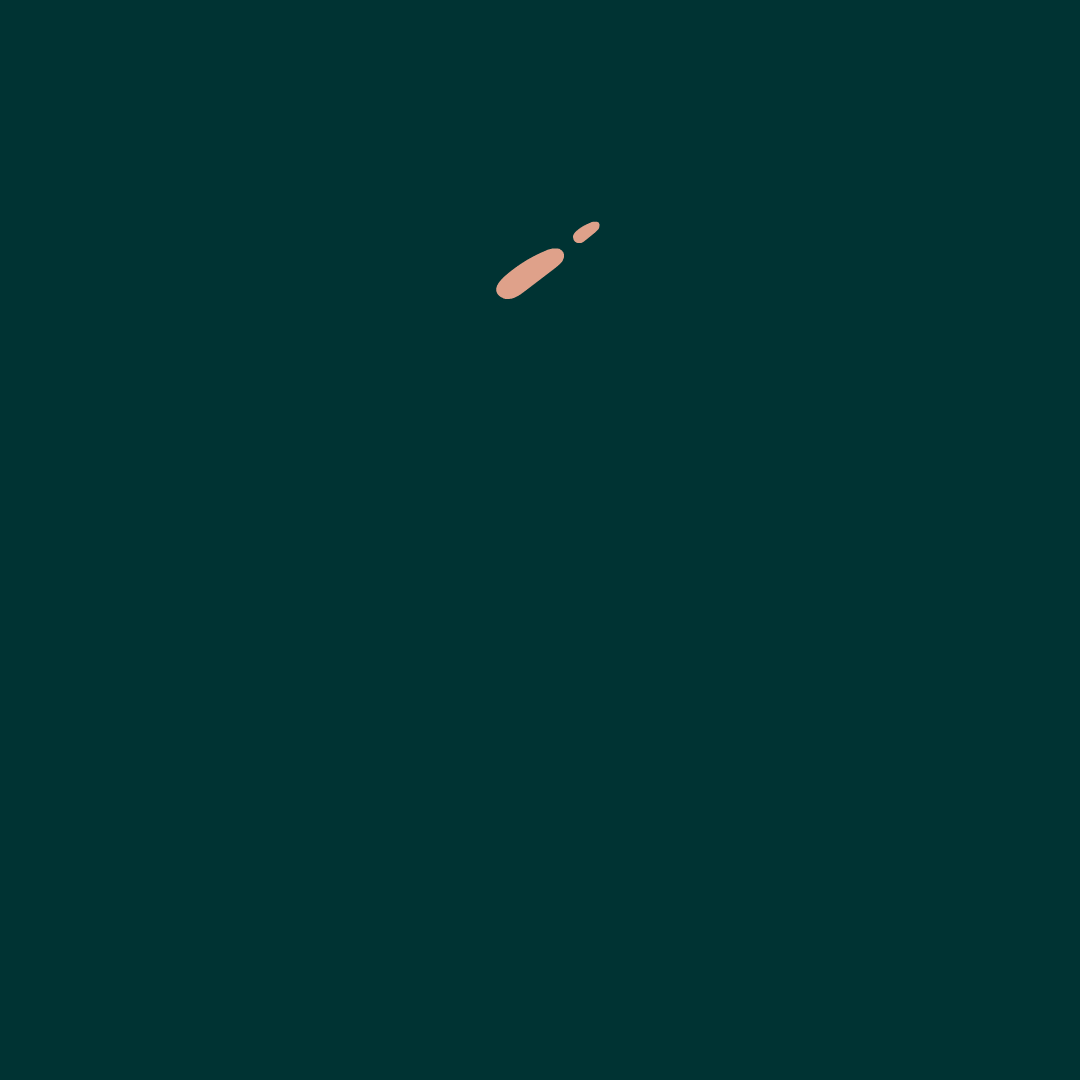 Basics of Hand-Drawn Animation - image 3 - student project