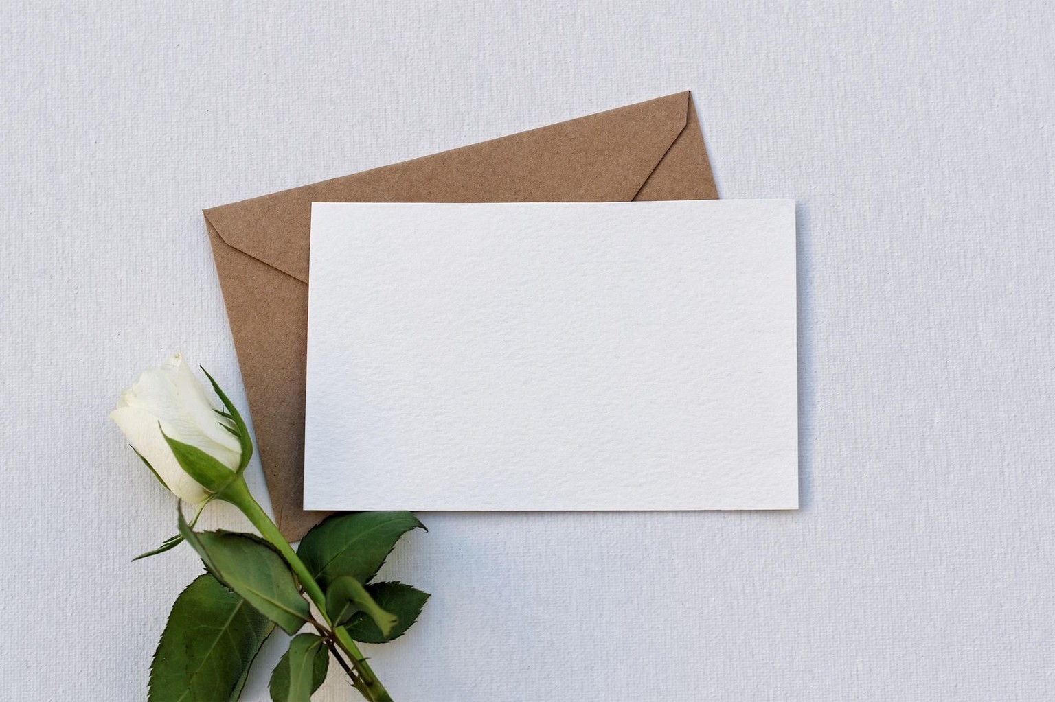 Simple mockup - image 1 - student project