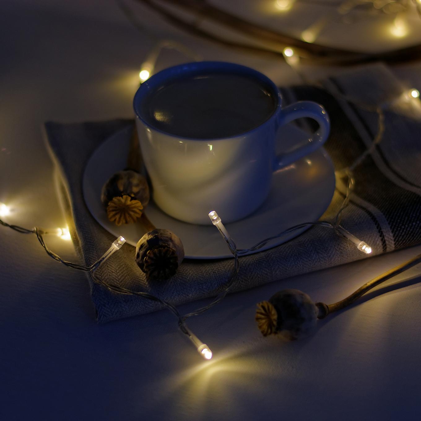 Cookies and lights - image 4 - student project