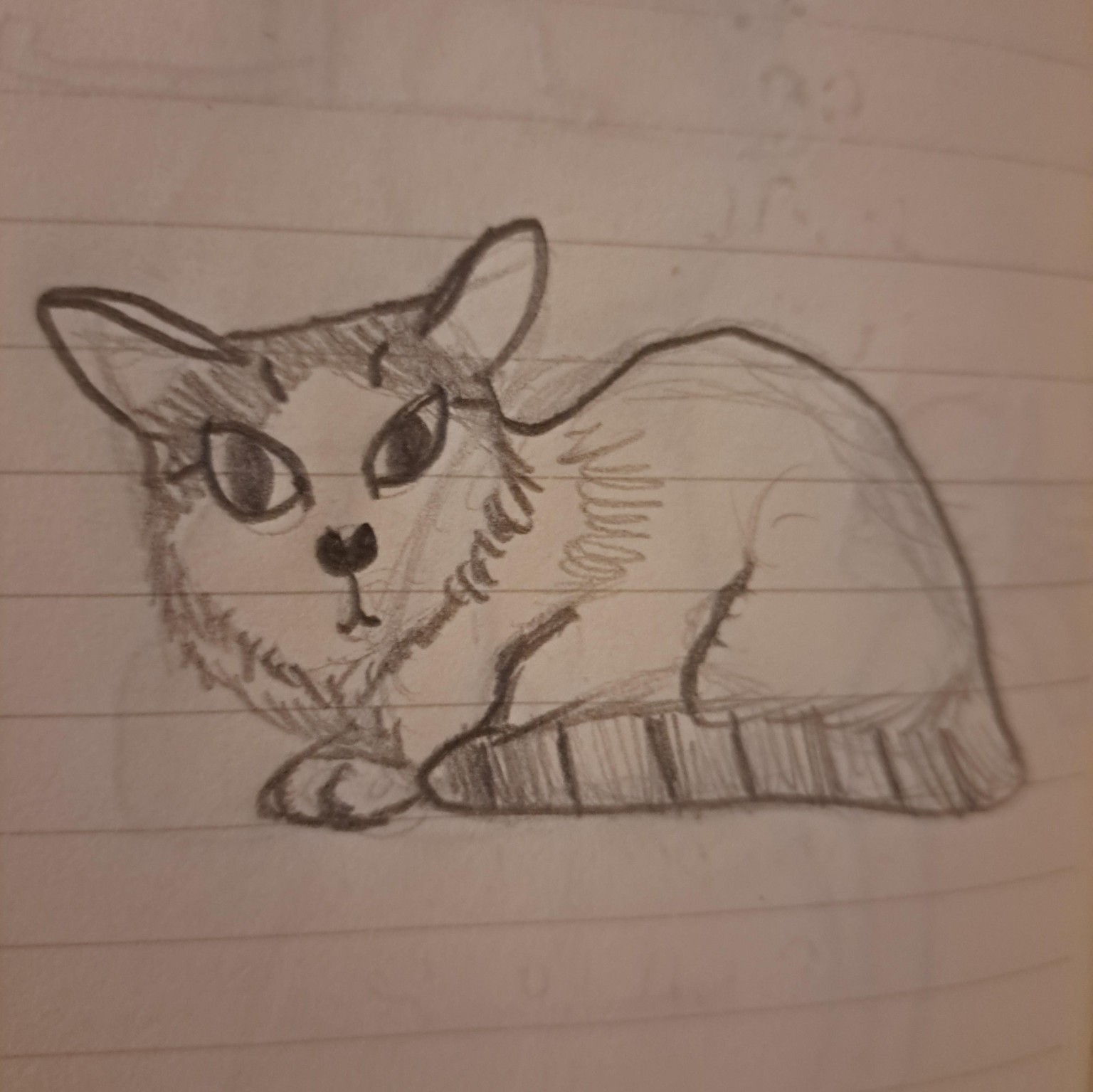 Finished Sitting Cat - image 1 - student project