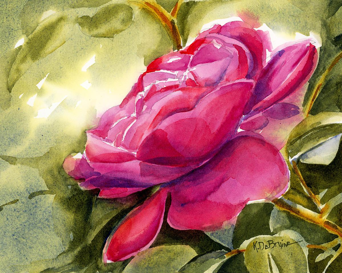 A Wild Rose in Watercolor - image 1 - student project