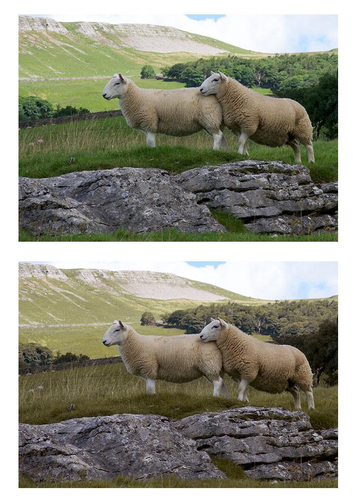 Photoshop: Colour-change tools - image 3 - student project
