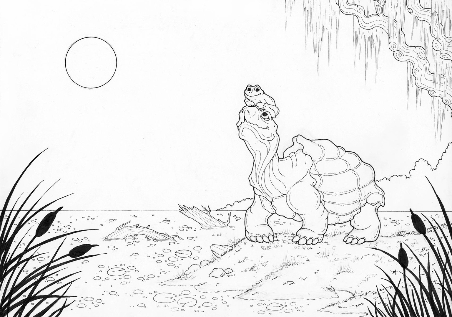 Swamp buddies - image 5 - student project