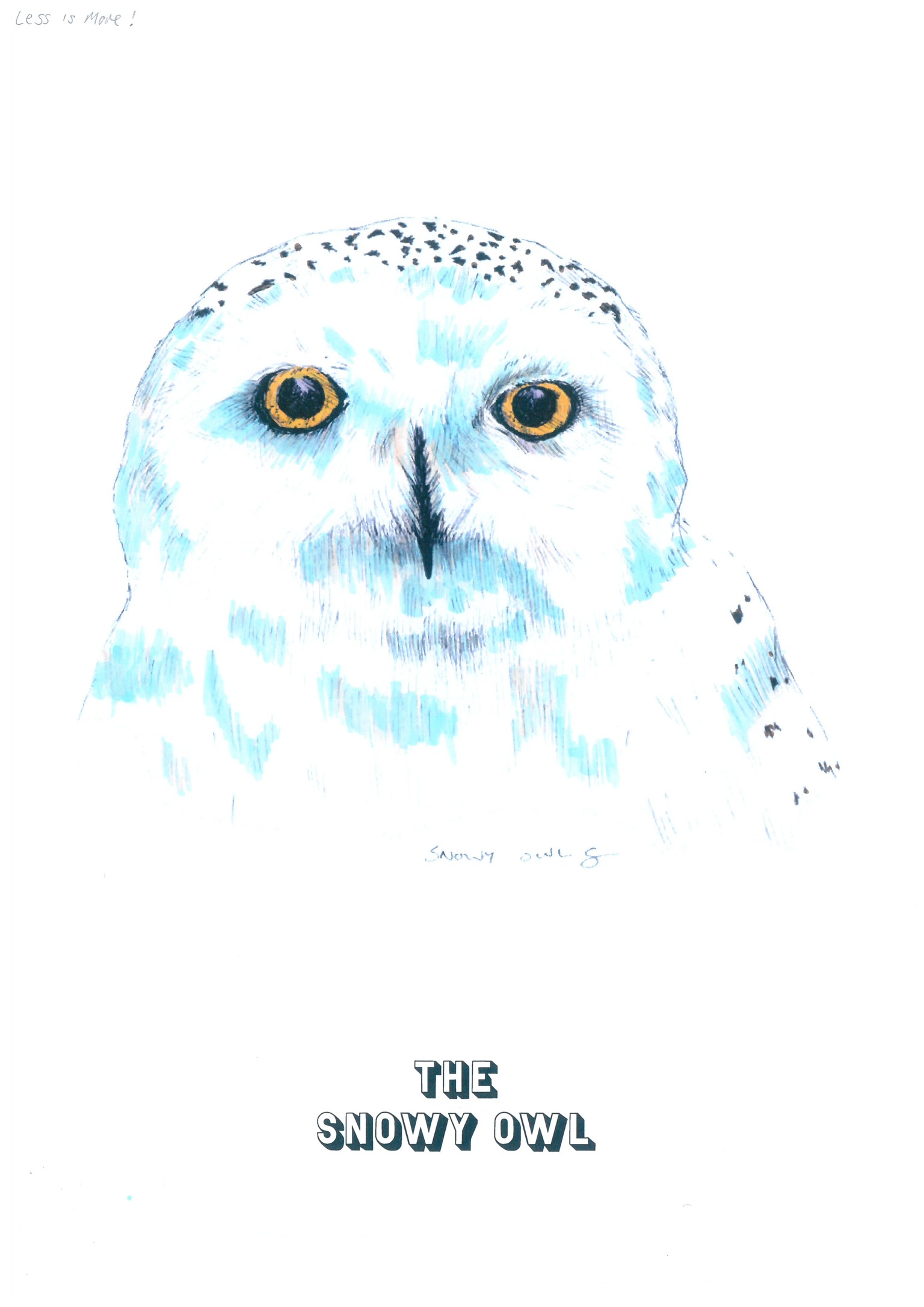 Explorations into the realms visual colour - image 1 - student project