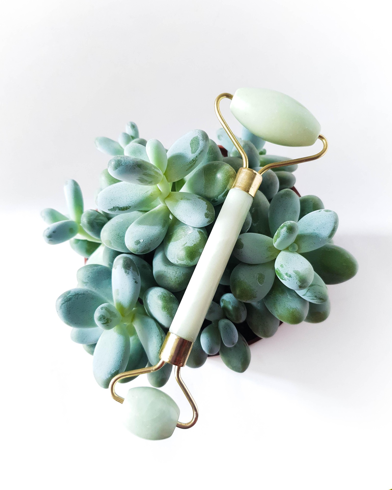 Product Photography - Terri Yvette - image 4 - student project