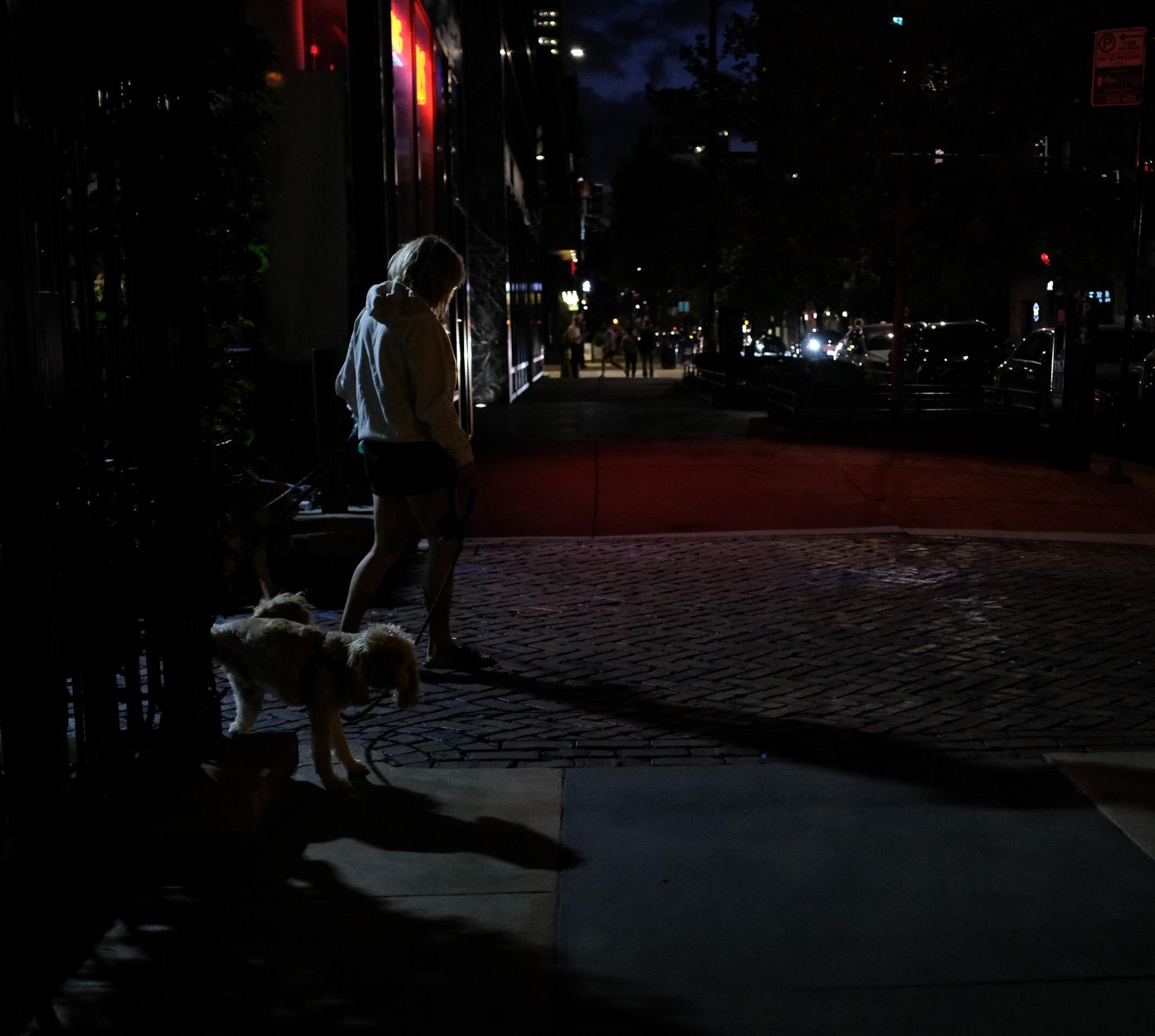 The streets of Chicago - image 6 - student project
