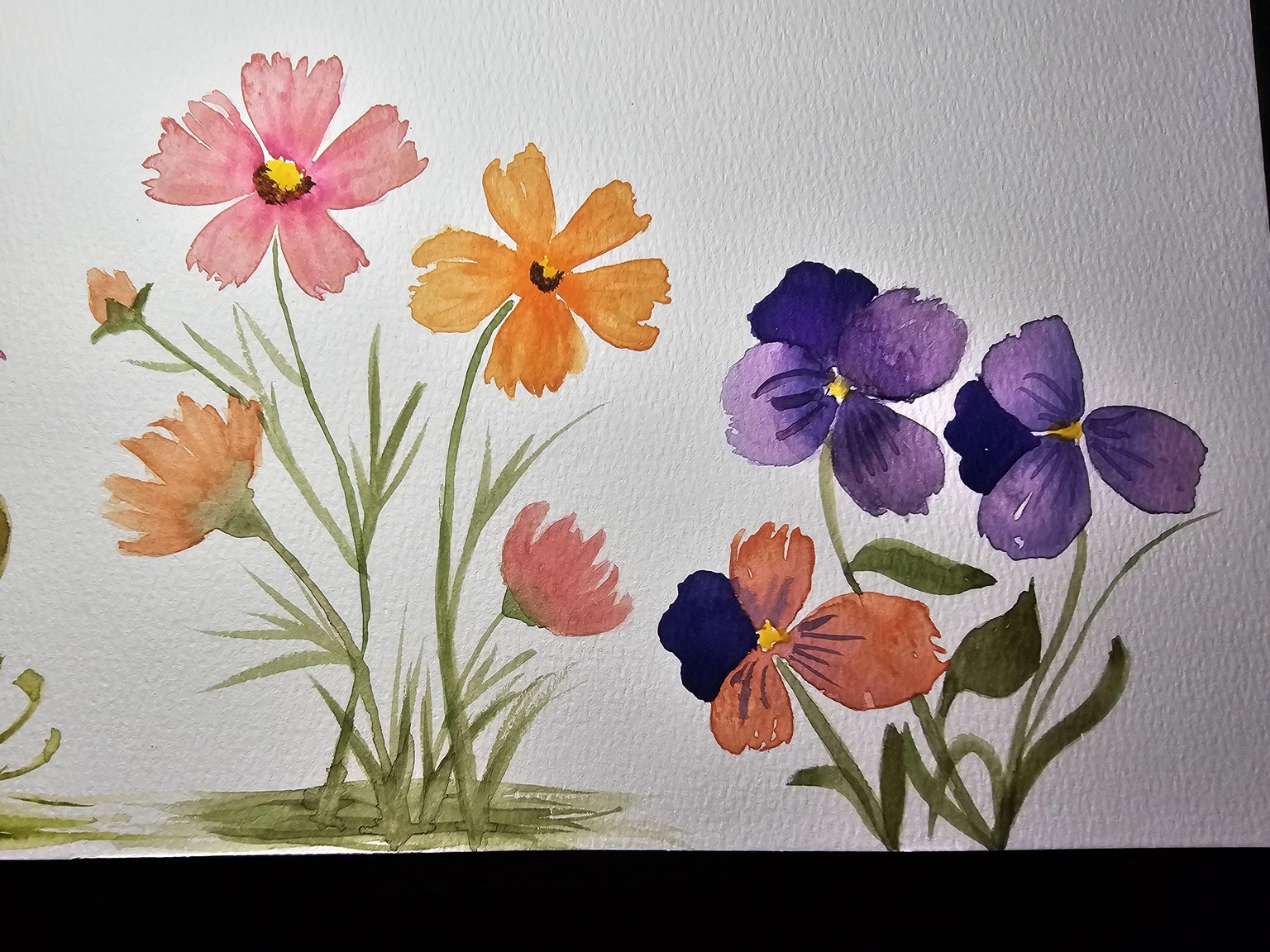 Cherry blossoms - image 1 - student project